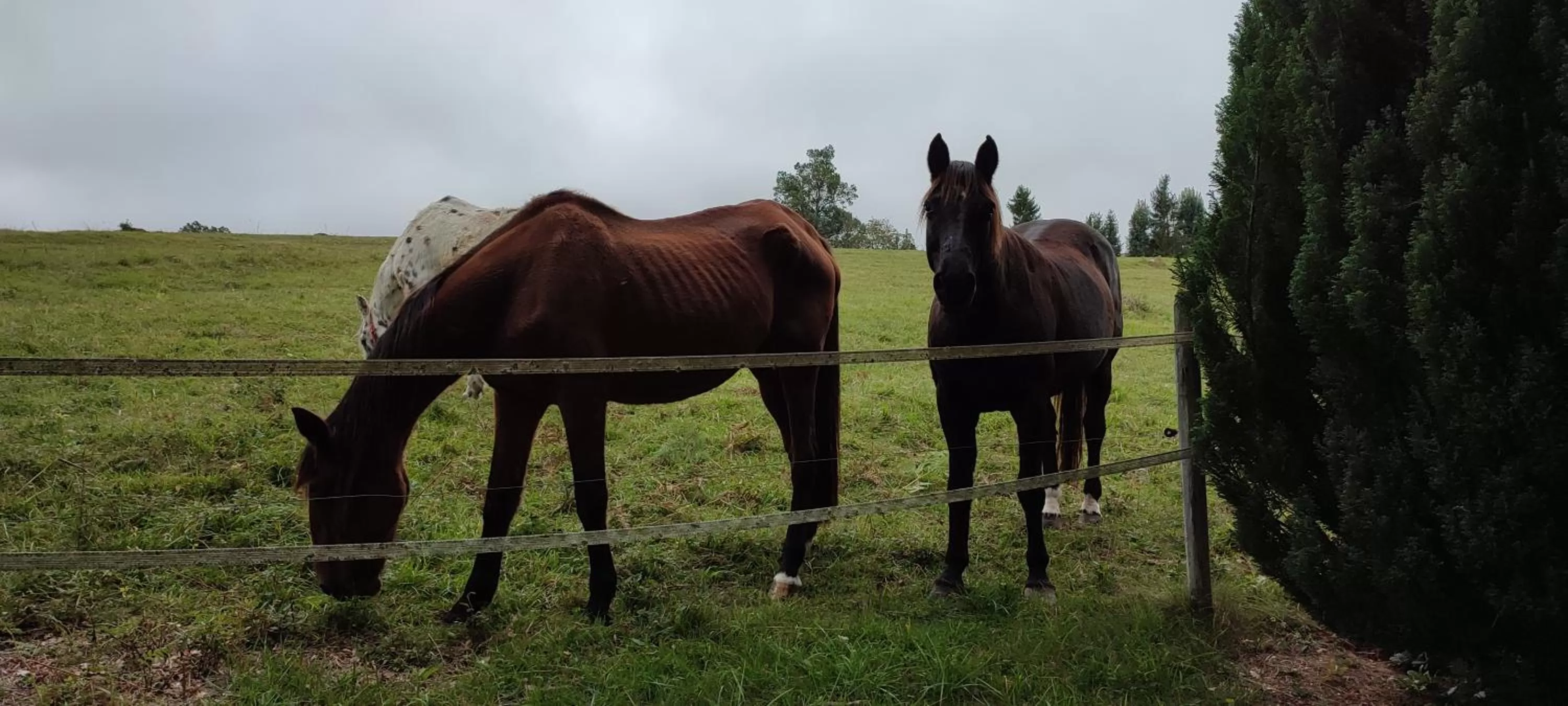 Domaine Le Lanis Chambre d'hôtes avec spa sur réservation
