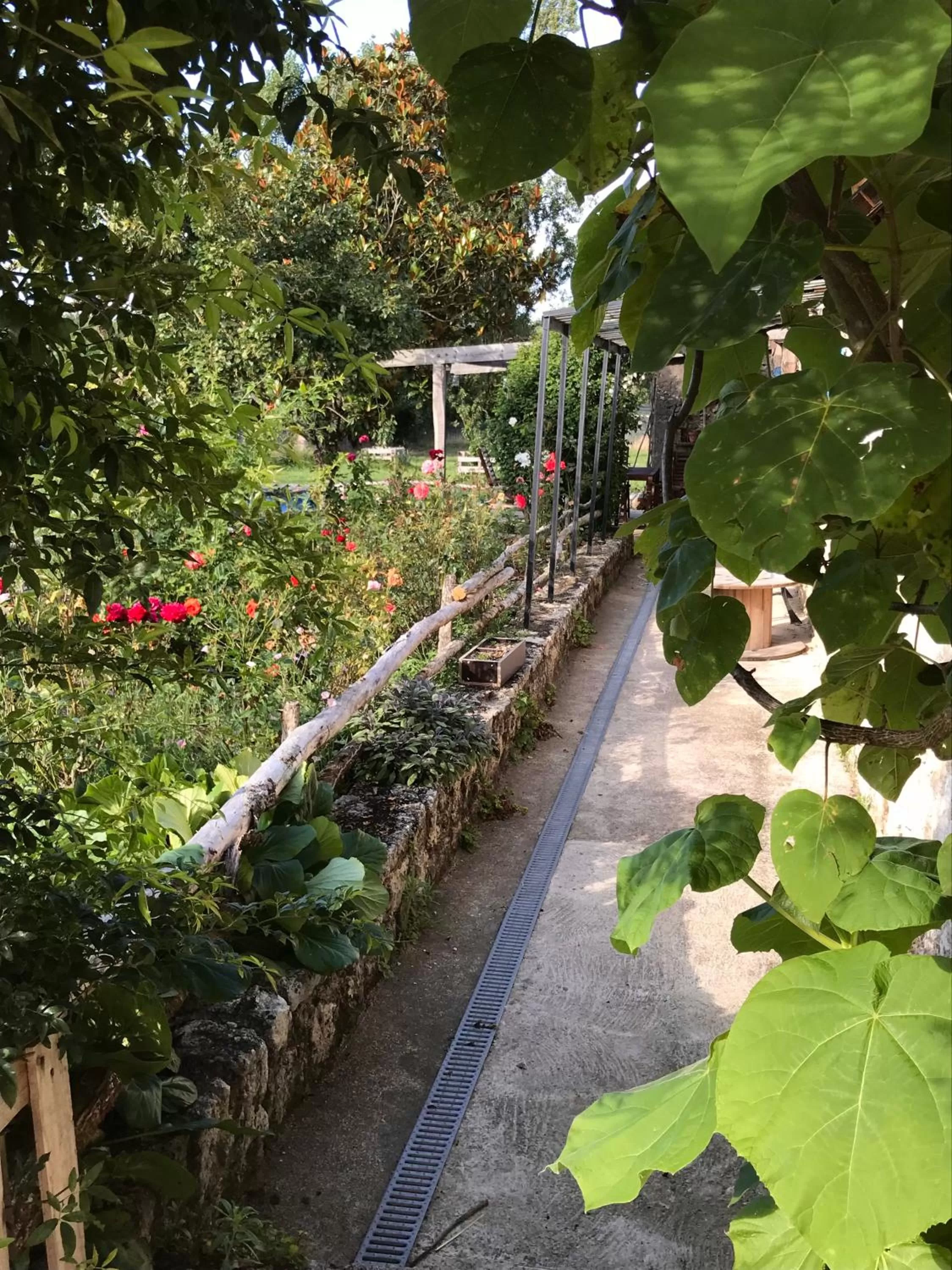 Garden in Chez Gustave & Compagnie