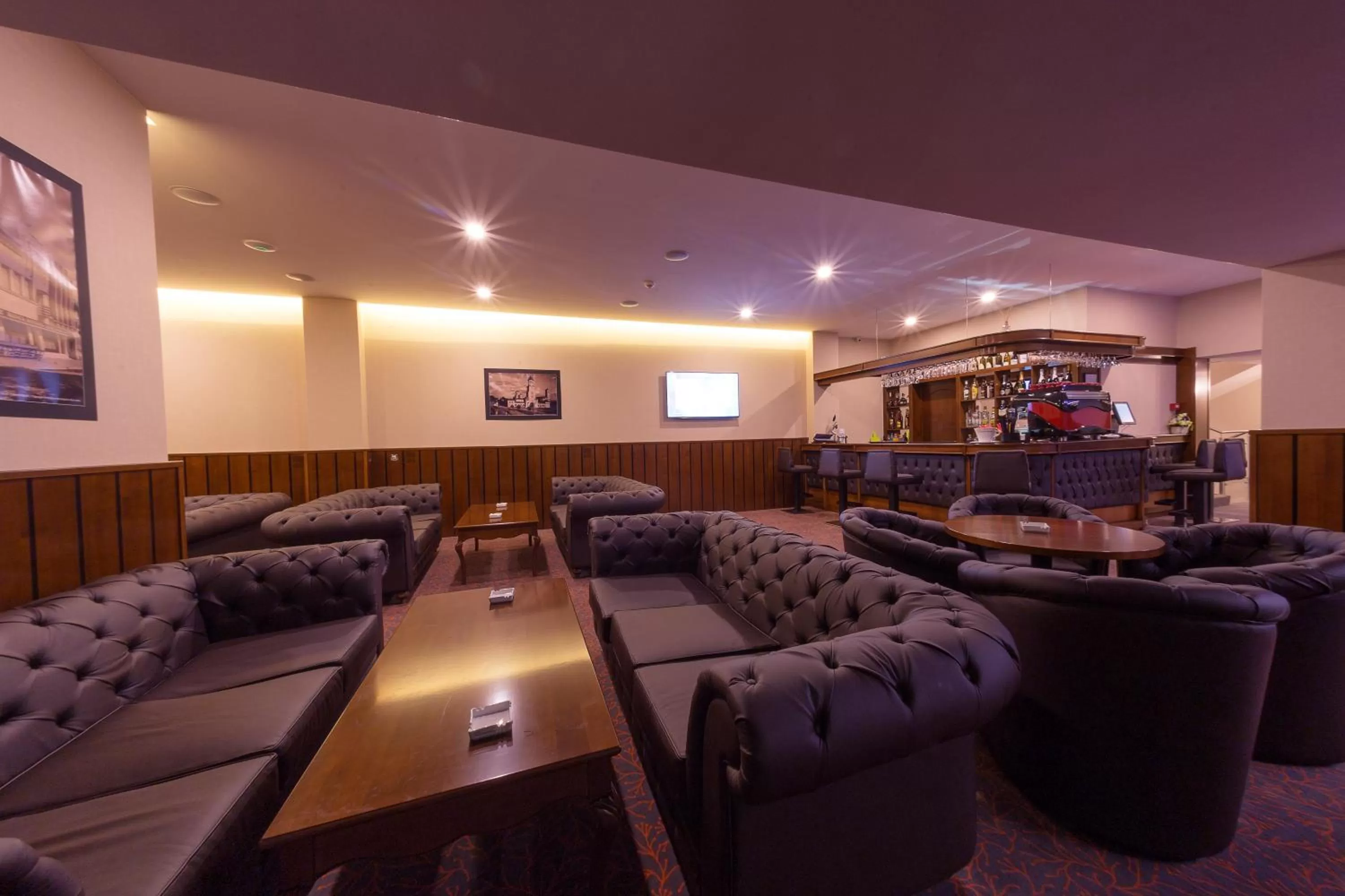 Lounge or bar in Hotel Transilvania