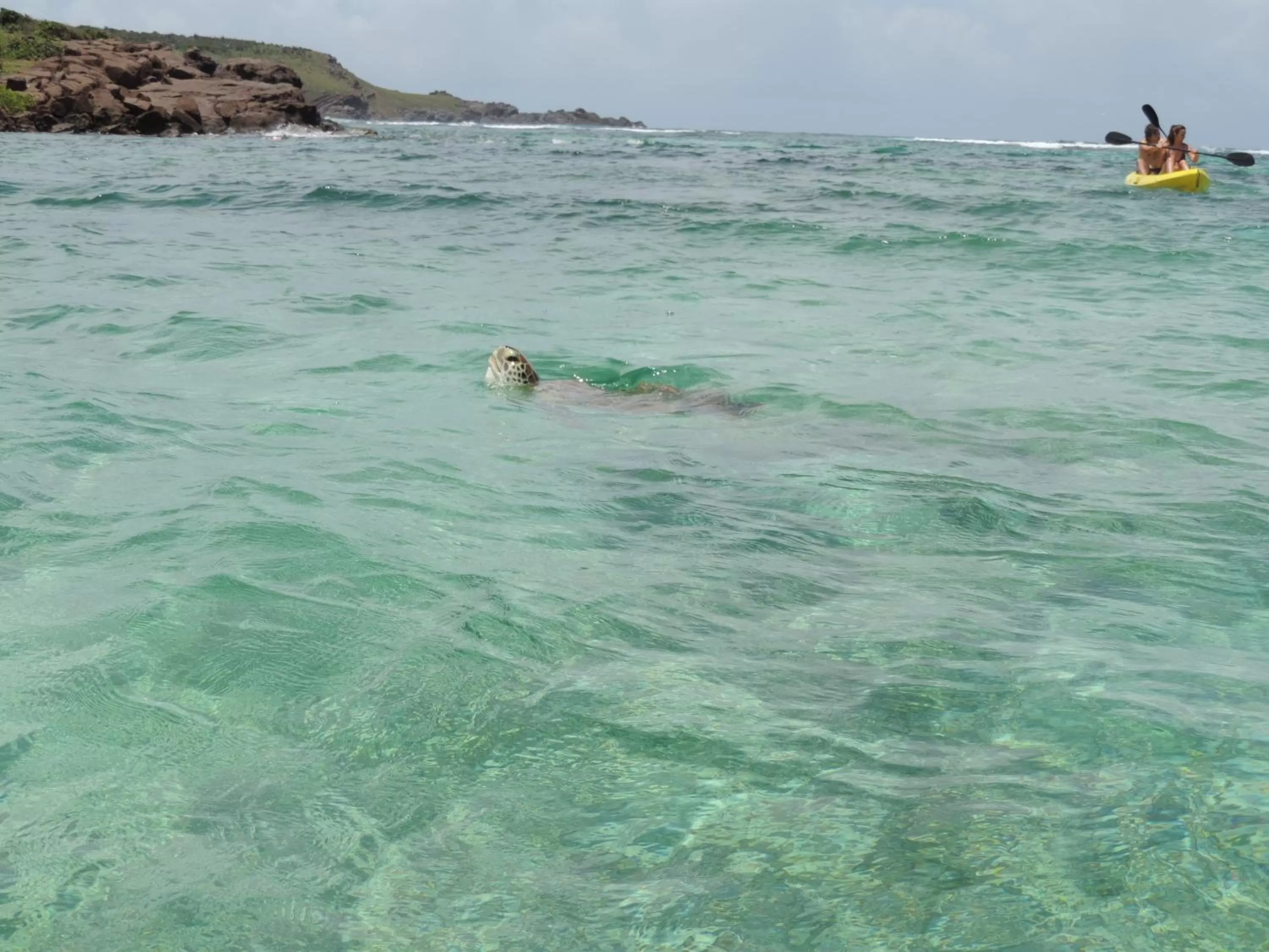 Snorkeling in Hotel Les Ondines Sur La Plage