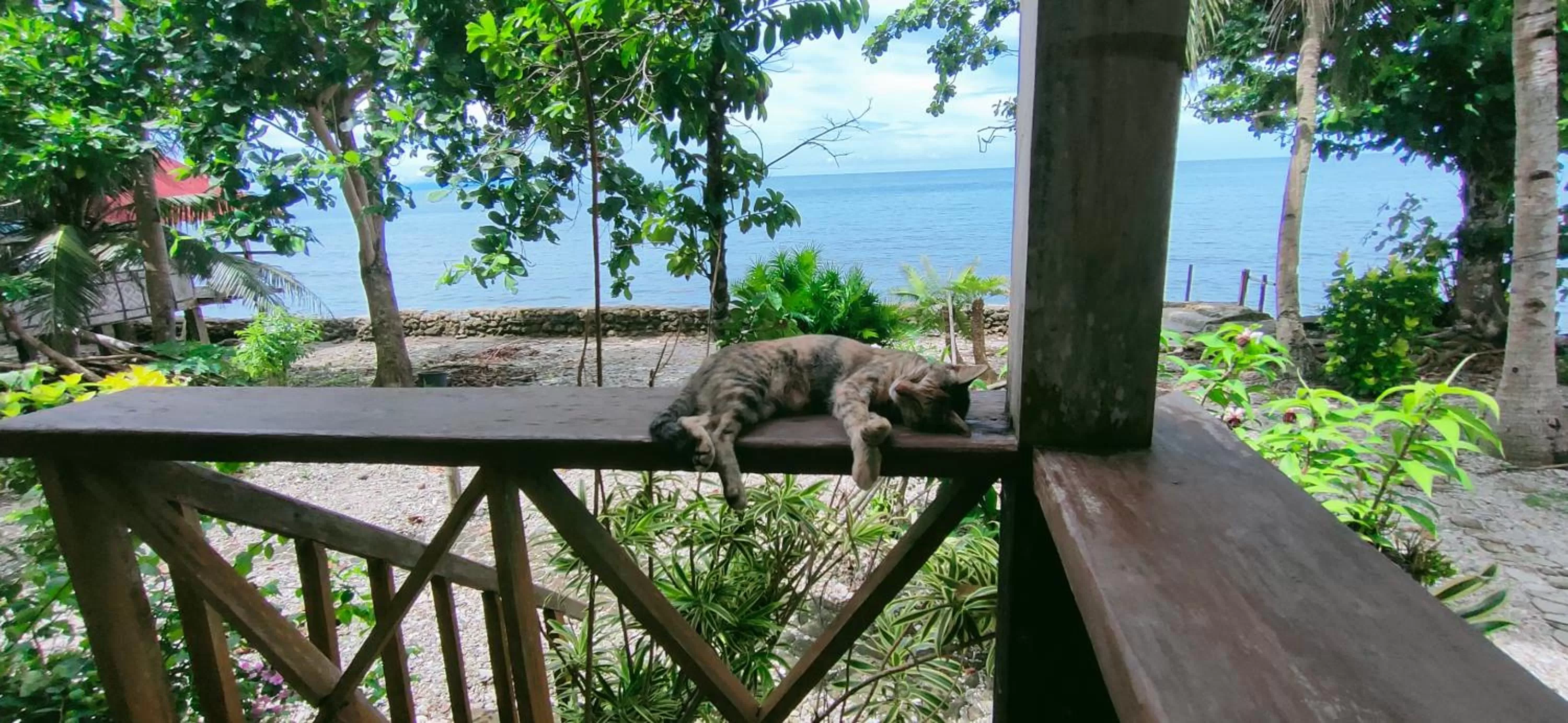 Balcony/Terrace in Paseo Del Mar Seaside Inn