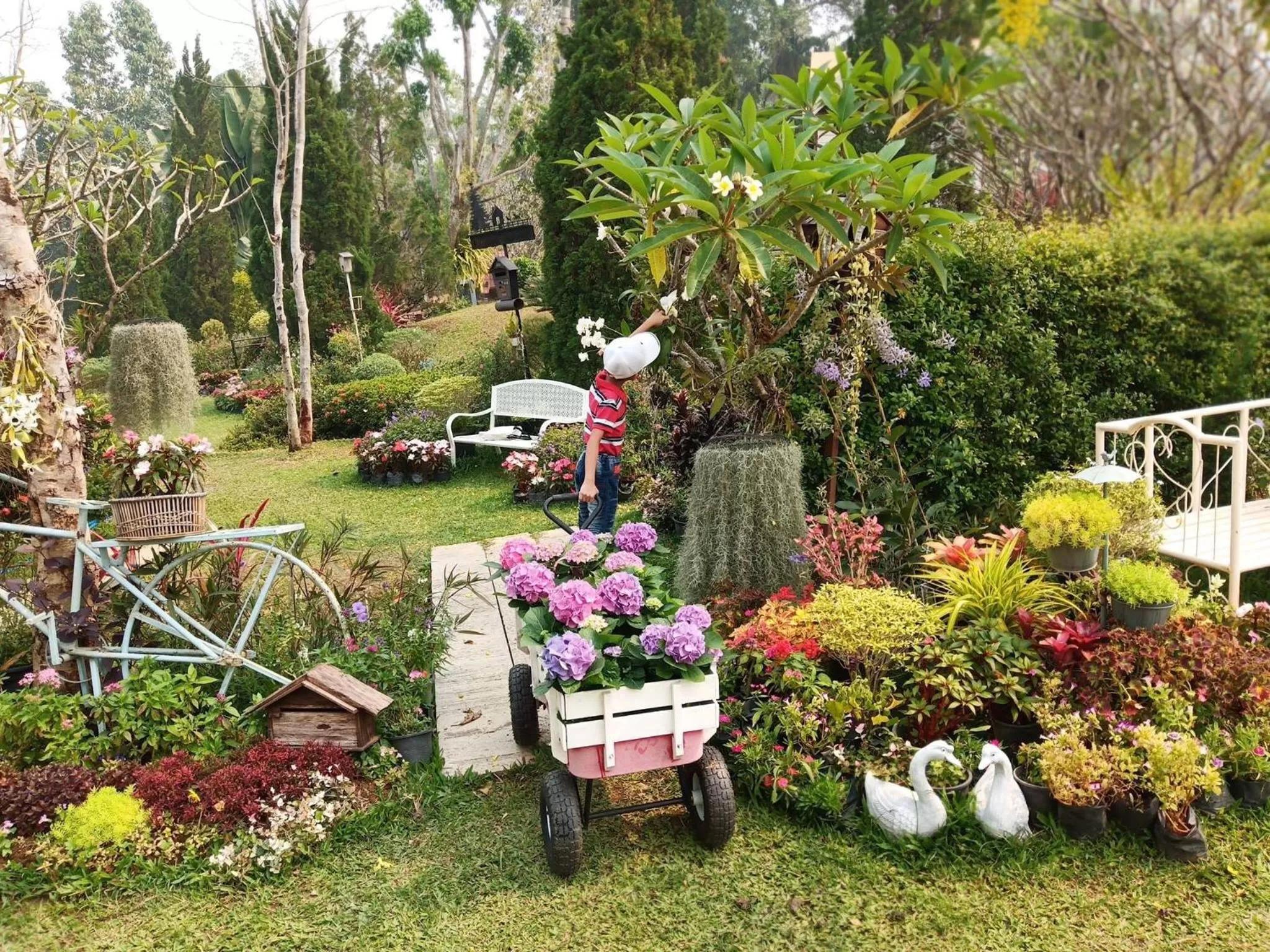 Baan JaoKorKluay บ้านเจ้ากอกล้วย