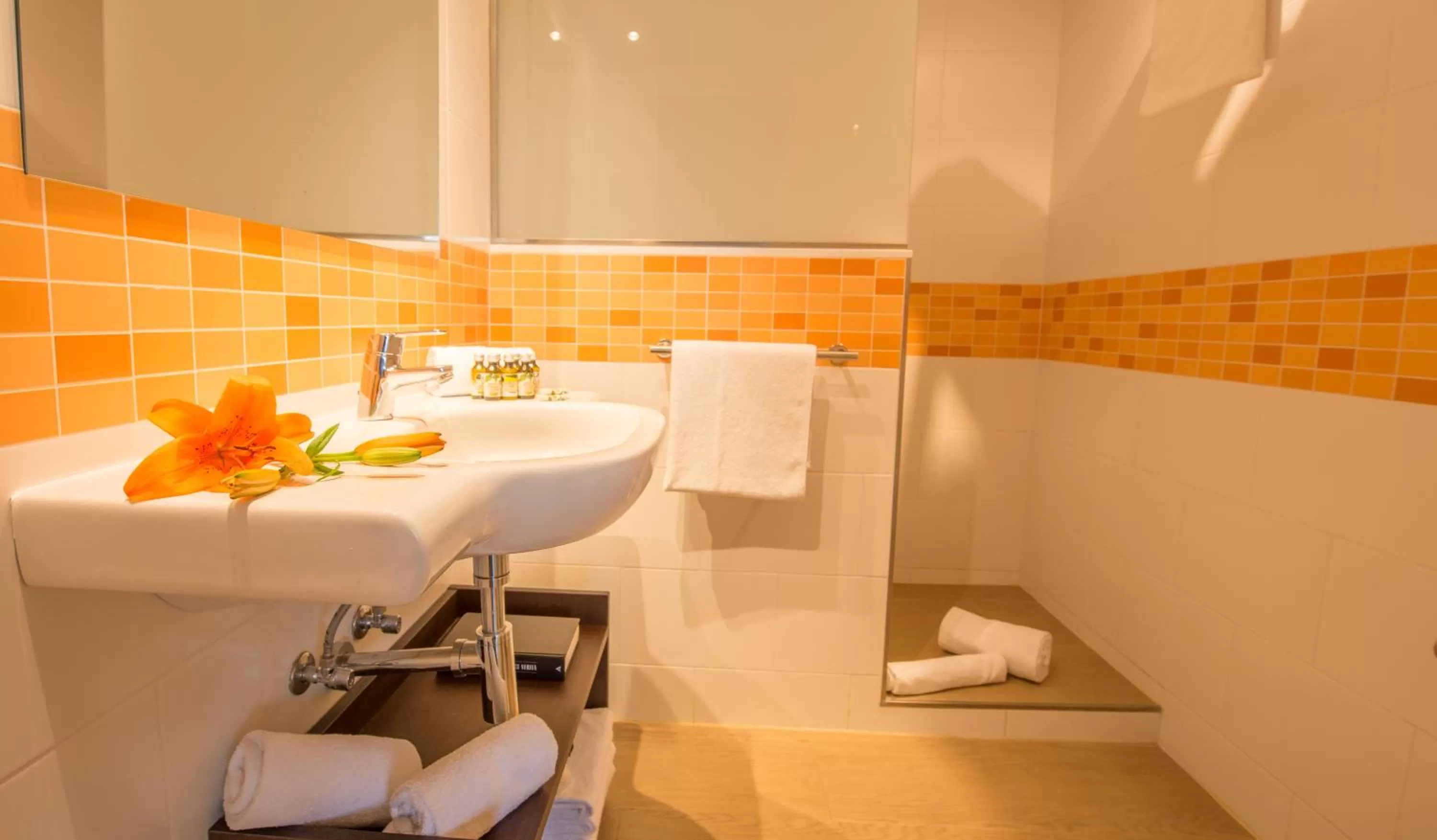 Shower in Aparthotel Ona Aucanada