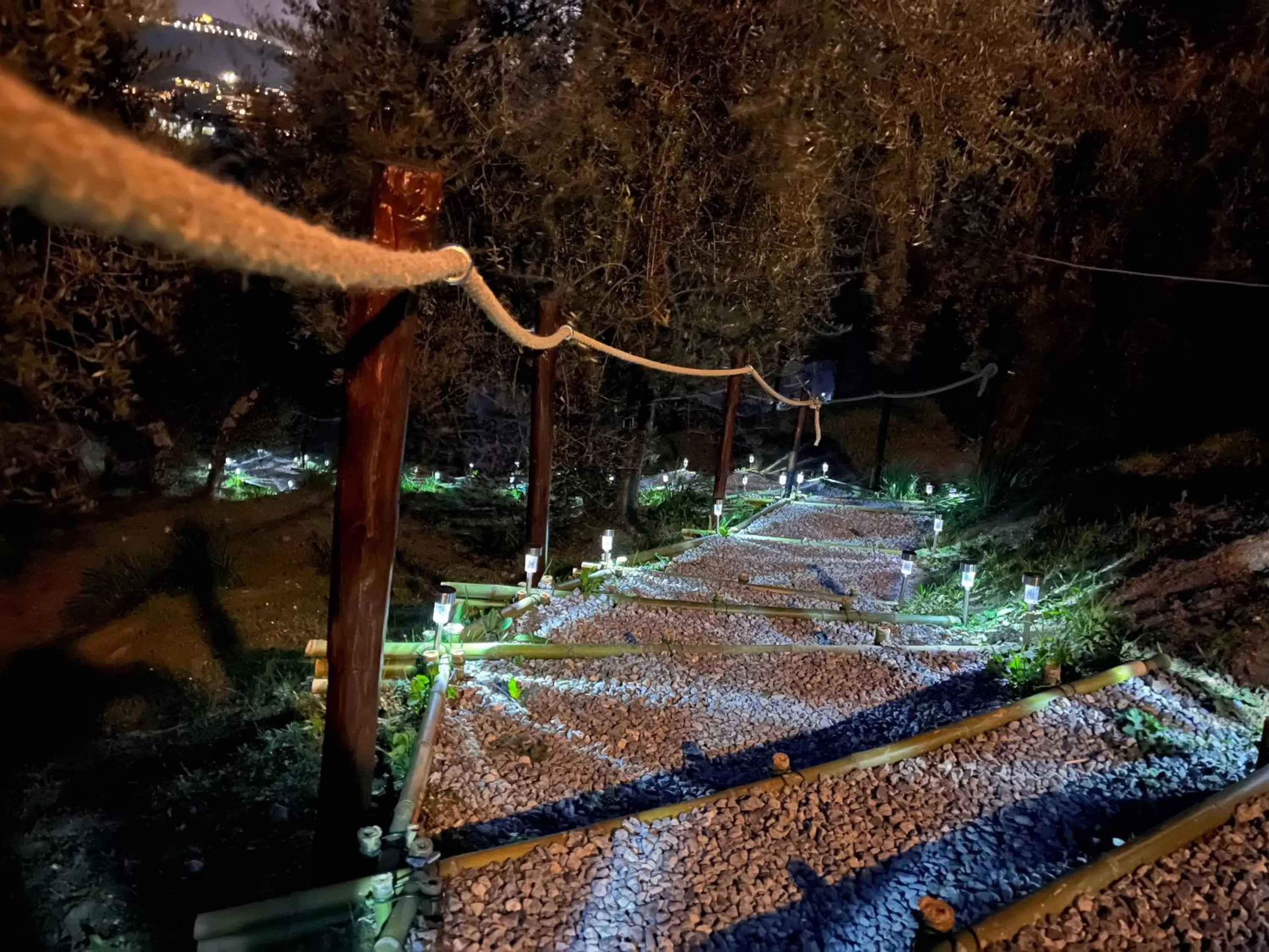 Garden in Casa del Pino