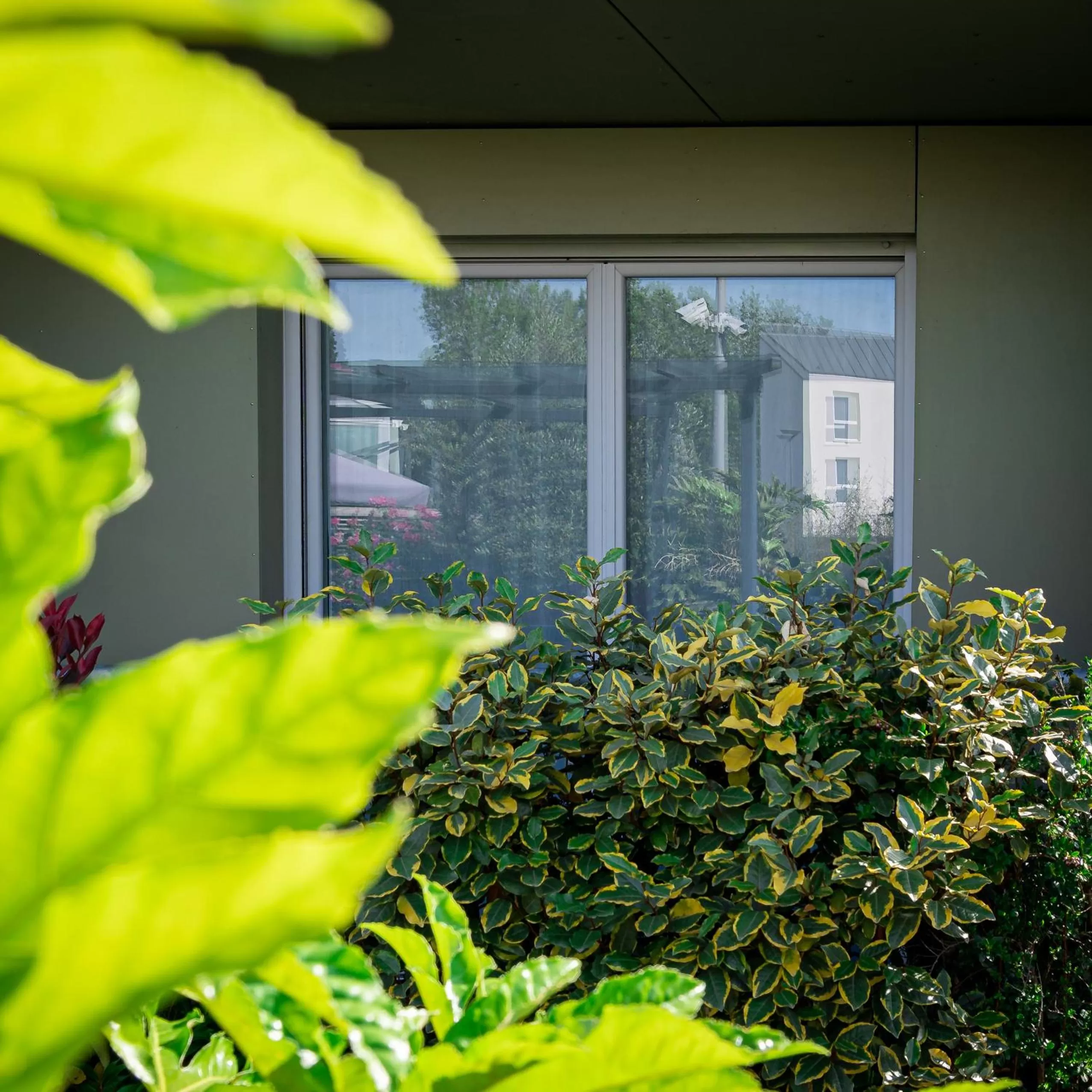 Spring in Hotel Libera Caen Colombelles