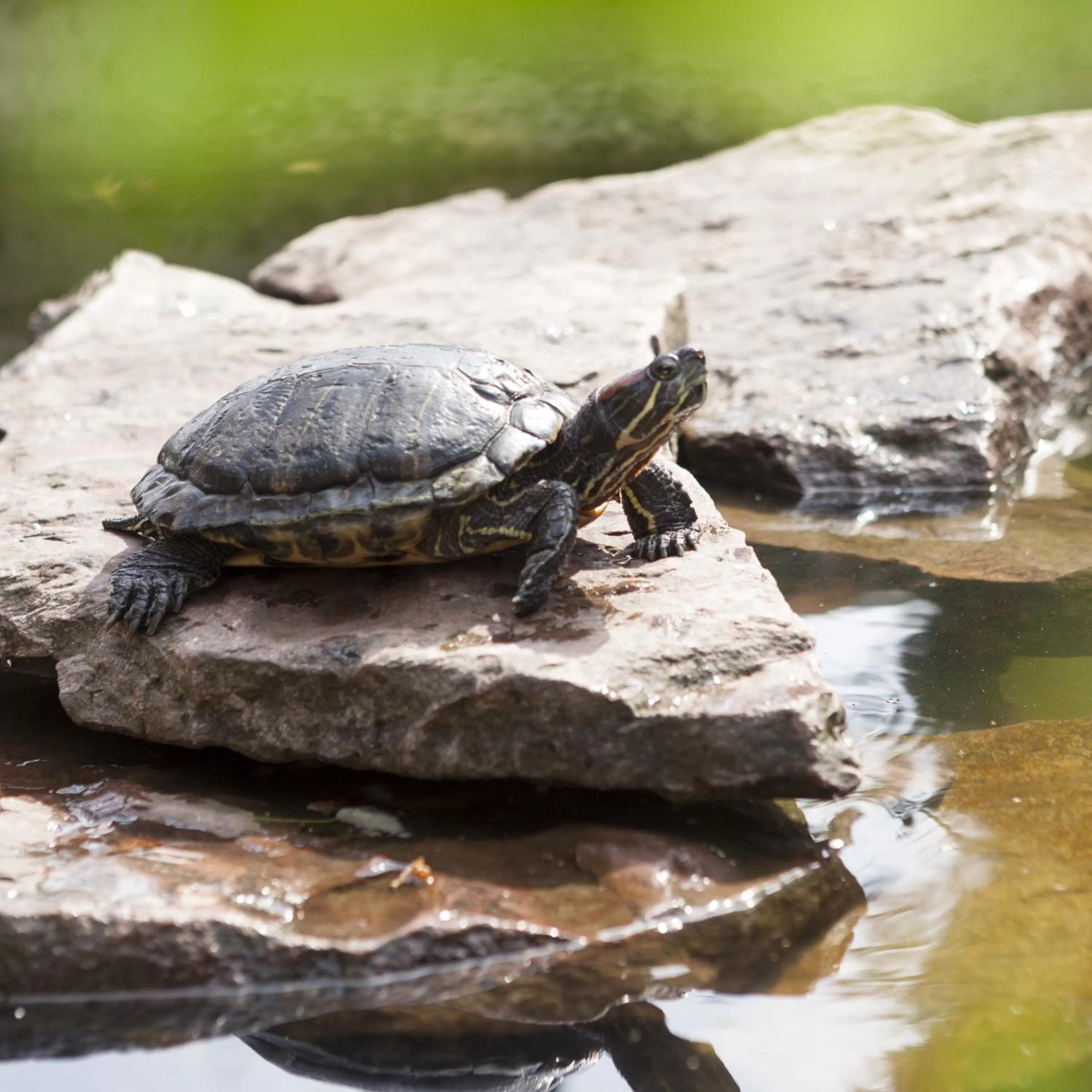 Garden, Other Animals in Seniorenresidenz Parkwohnstift Bad Kissingen