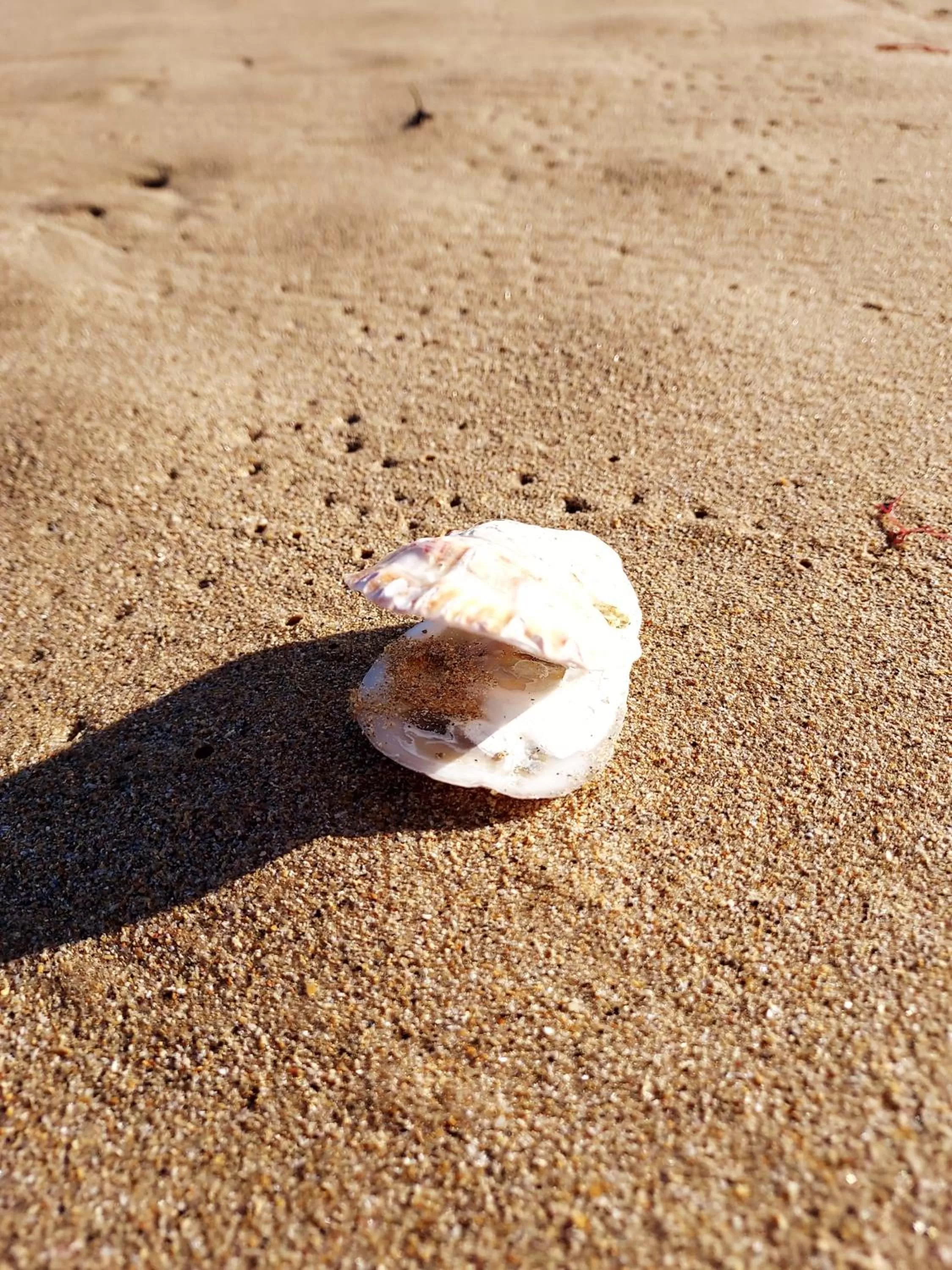 Maison Triton et Porcelaine