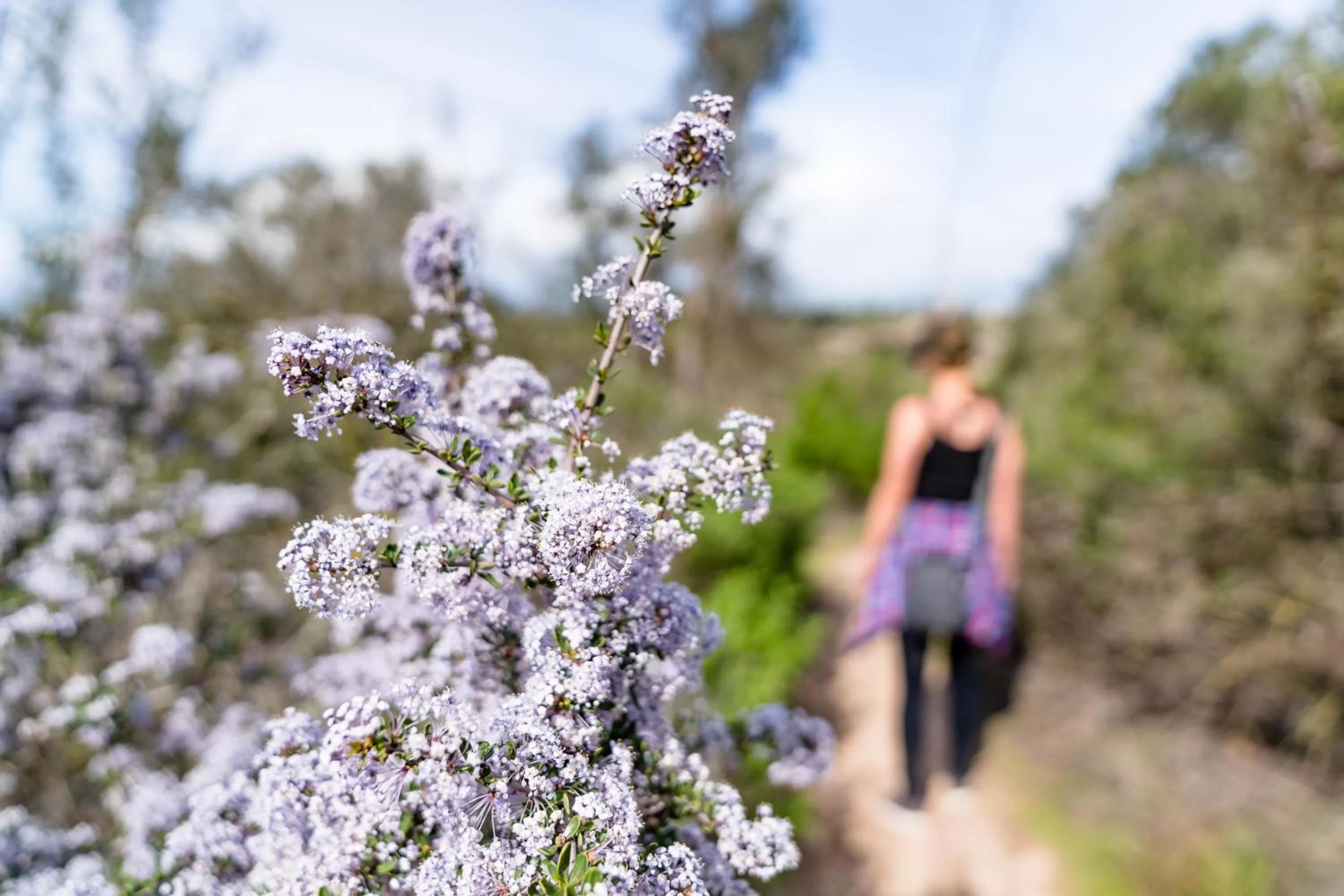 Nearby landmark in Candlewood Suites Santa Maria by IHG