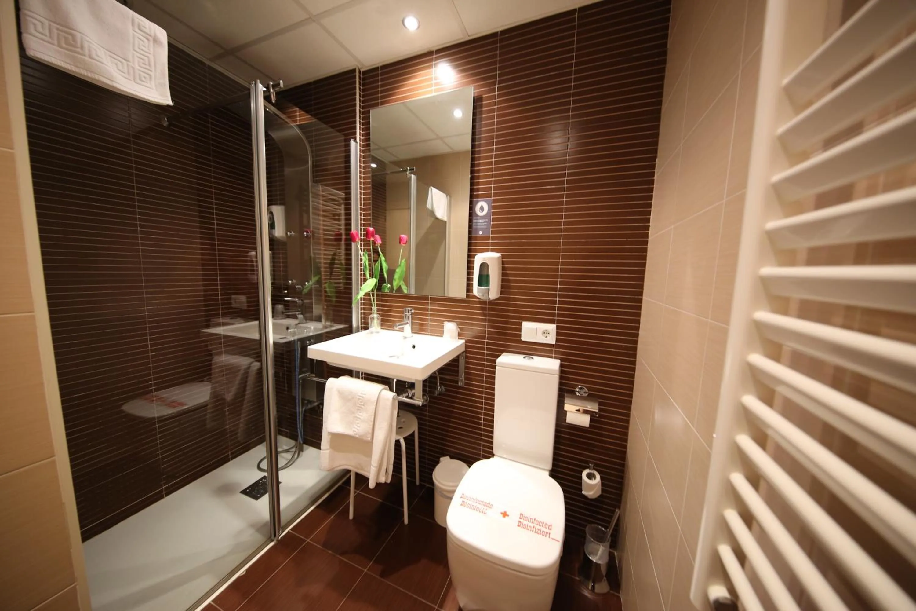 Bathroom in Hotel Alda Entrearcos