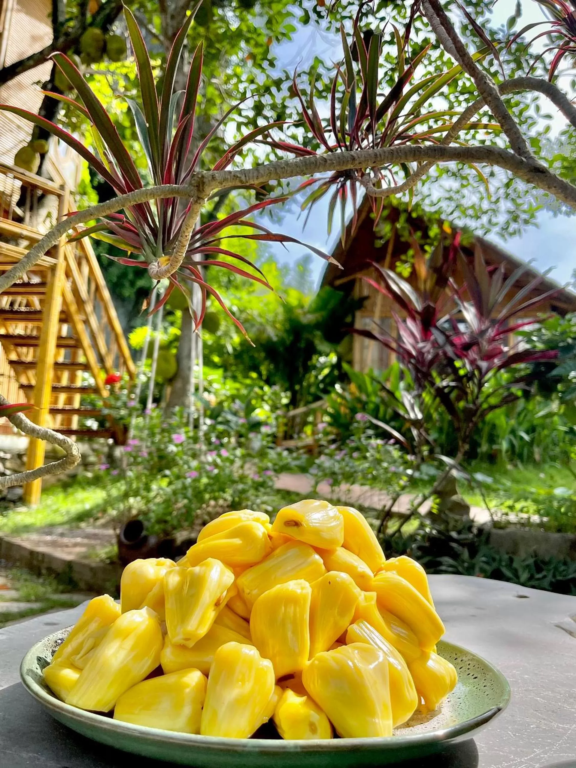 Food and drinks in Trang An Lamia Bungalow