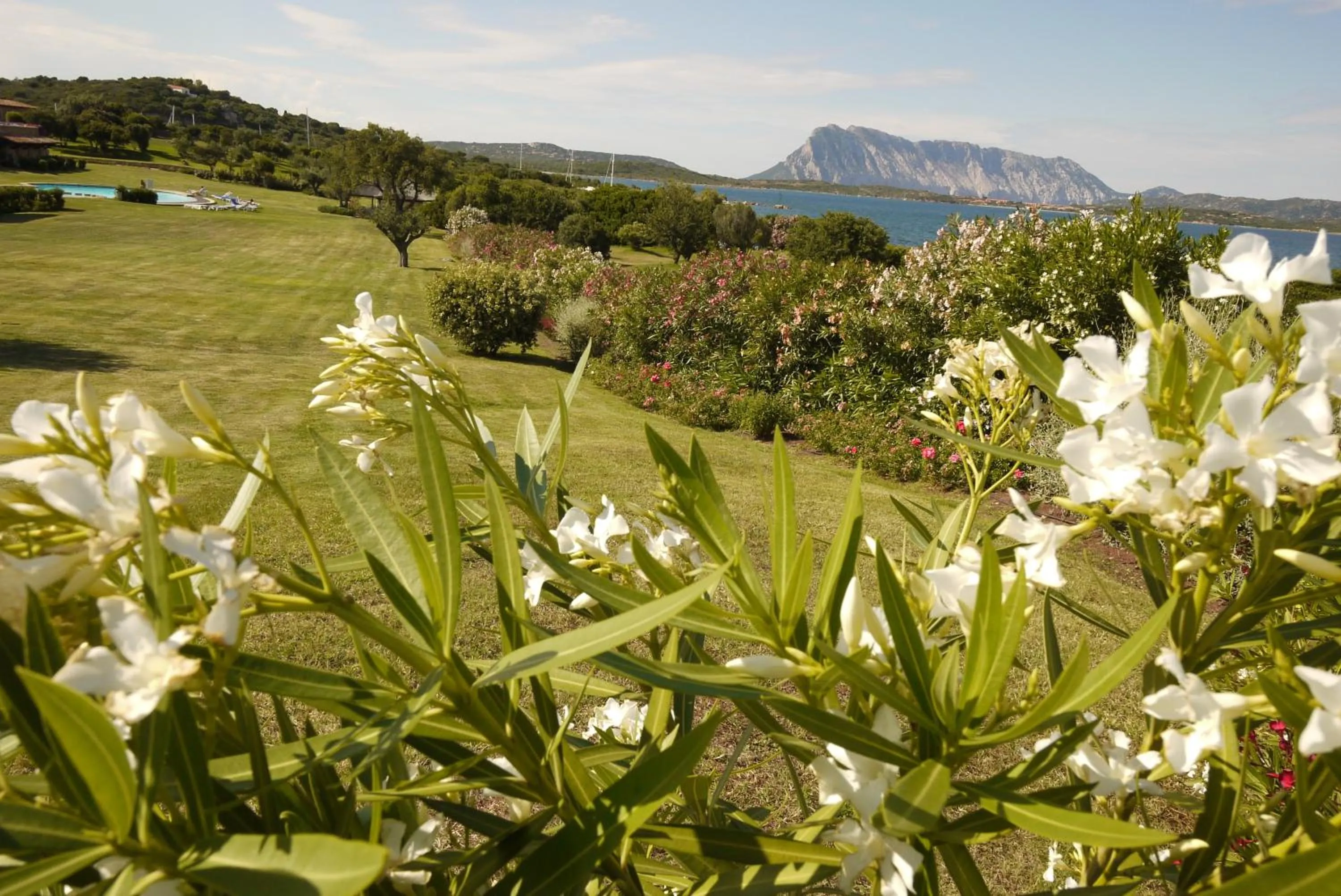 Garden in Due Lune Puntaldia Resort & Golf