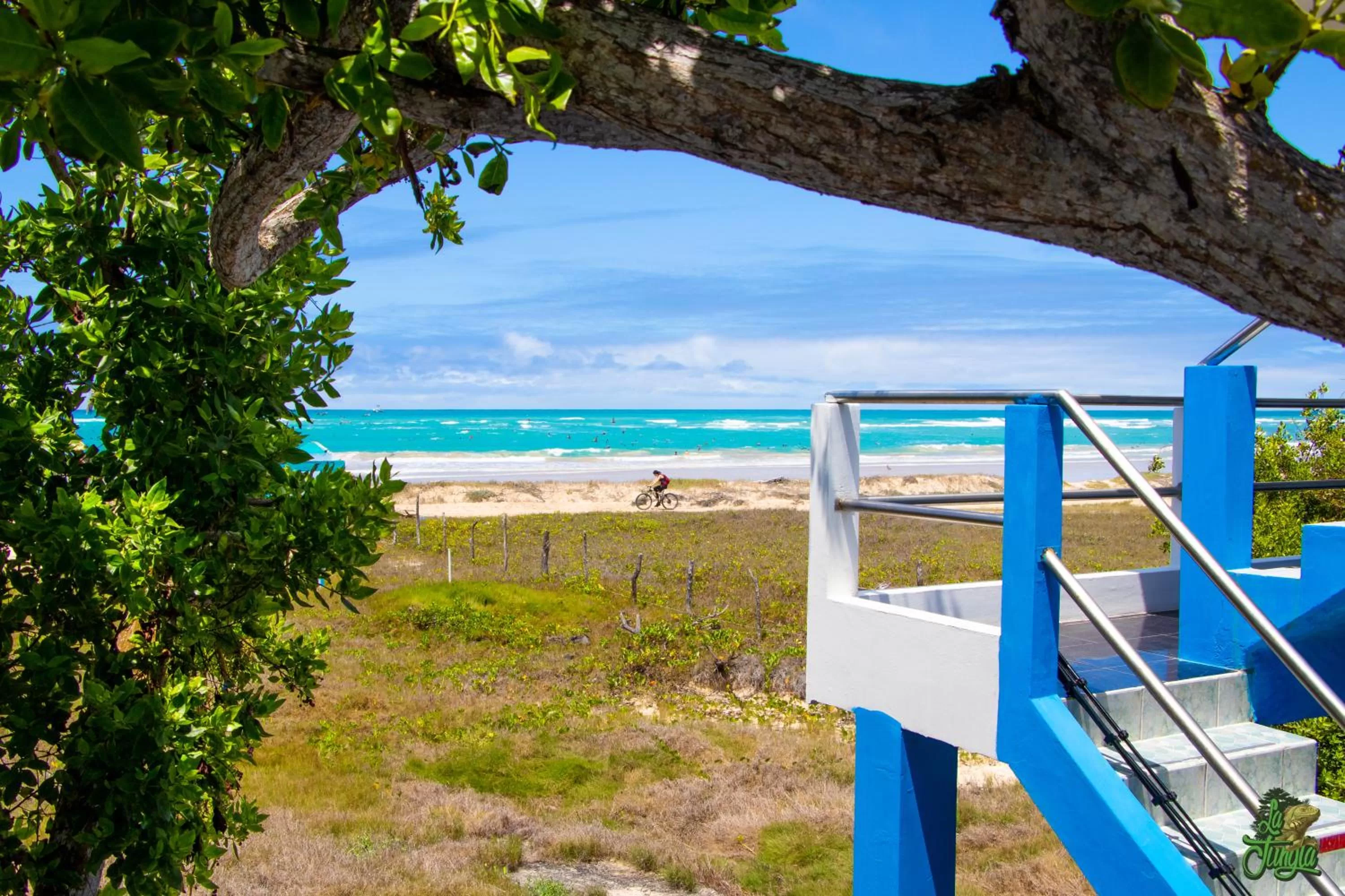 Beach in Hotel La Jungla