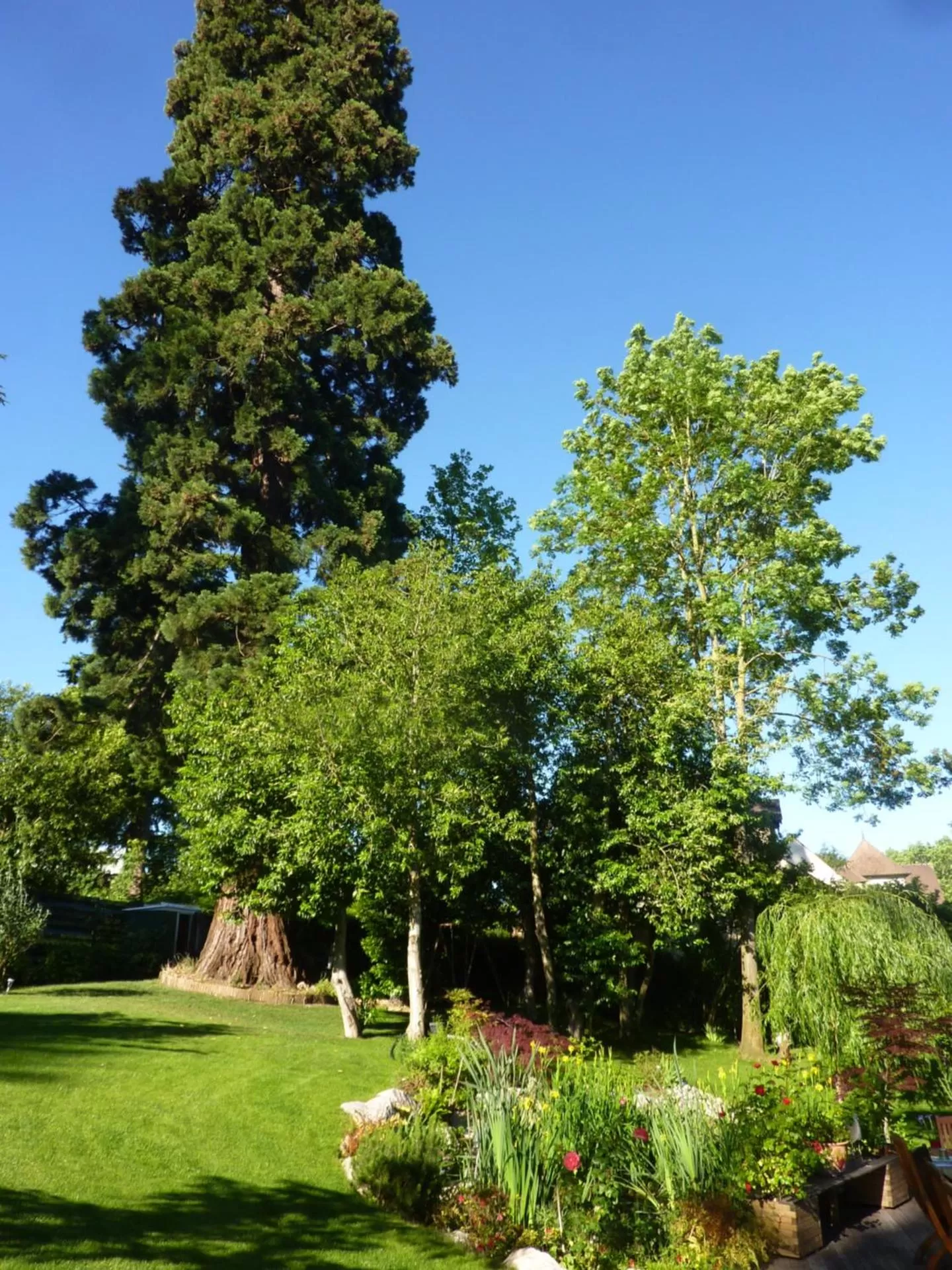 Garden view in Les Chambres D'oriane