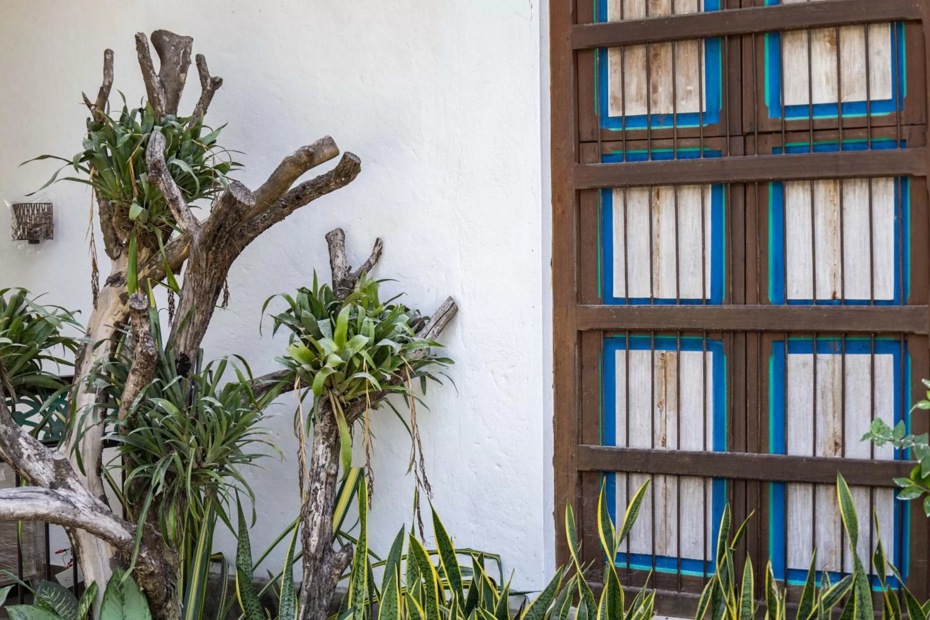 Area and facilities, Property Building in Casa Jacaranda Hotel Boutique