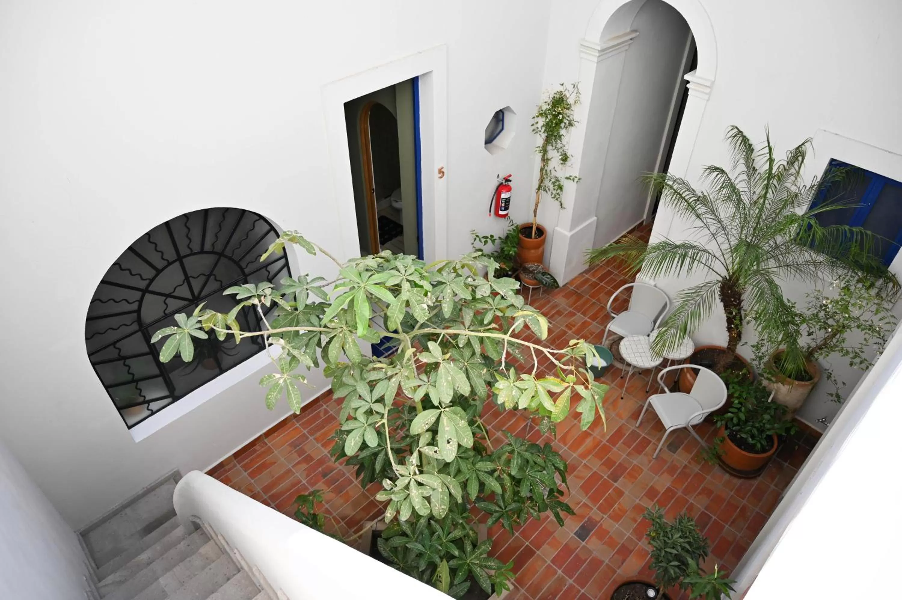 Inner courtyard view in Casa Kali by Barrio México