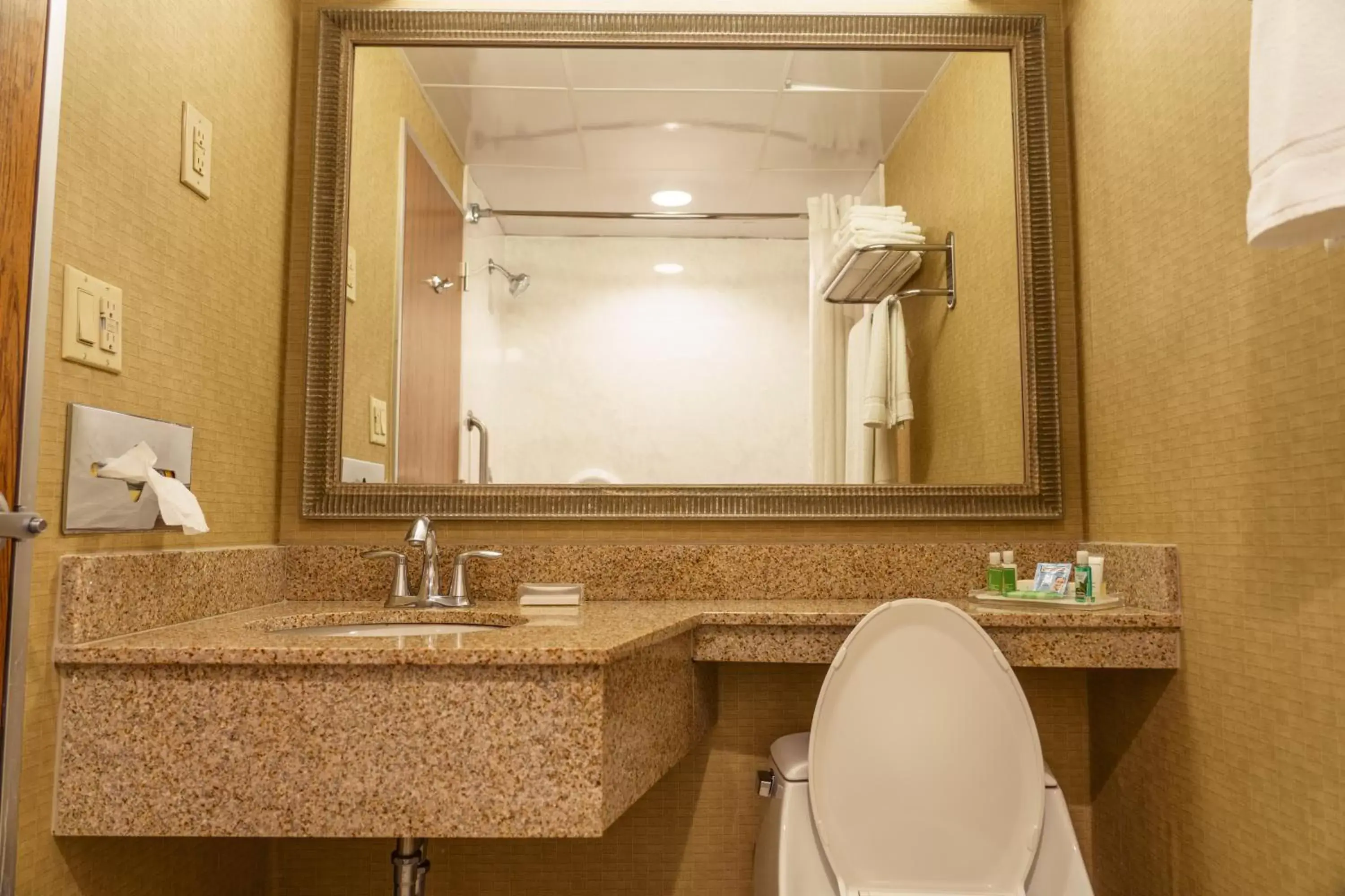 Premium Queen Room with Two Queen Beds - Hearing Accessible in Holiday Inn New Orleans-Downtown Superdome by IHG Premium Queen Room with Two Queen Beds - Hearing Accessible in Holiday Inn New Orleans-Downtown Superdome by IHG