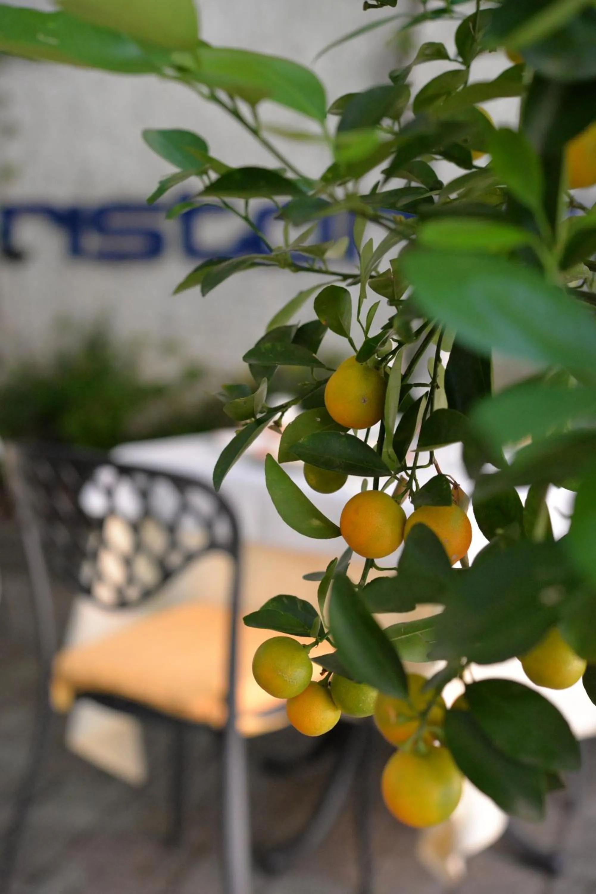 Balcony/Terrace in Albergo della Torre dal 1891