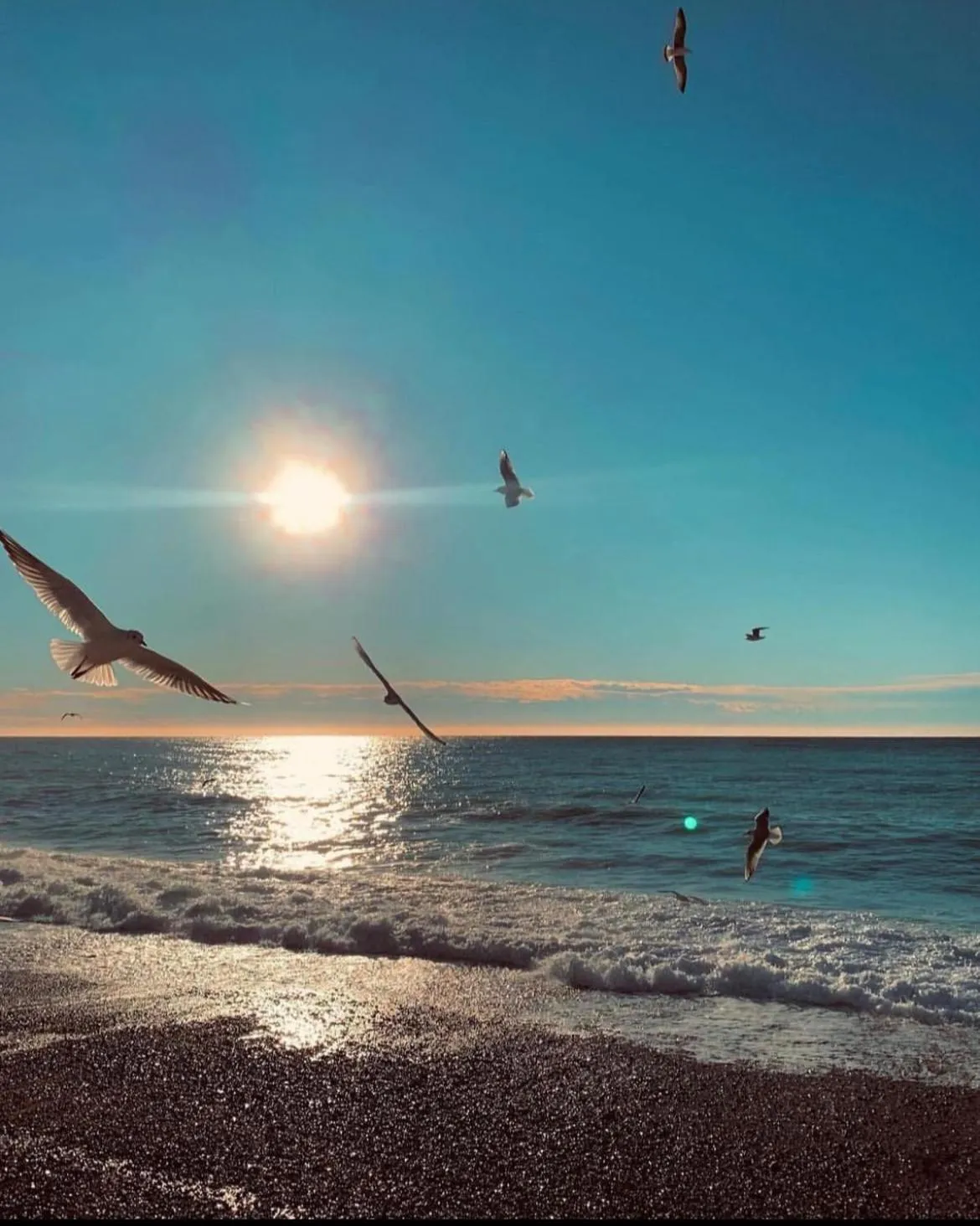 Beach in Le Riviera Collection, Signature Collection by Best Western