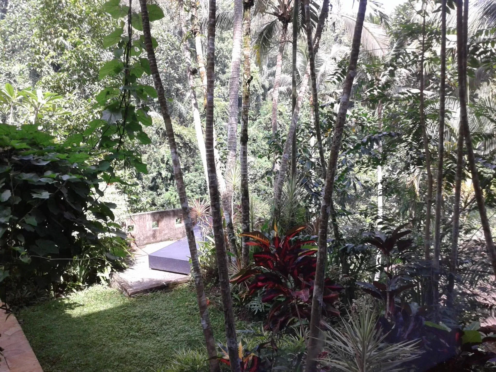 Natural landscape in Anahata Villas and Spa Resort