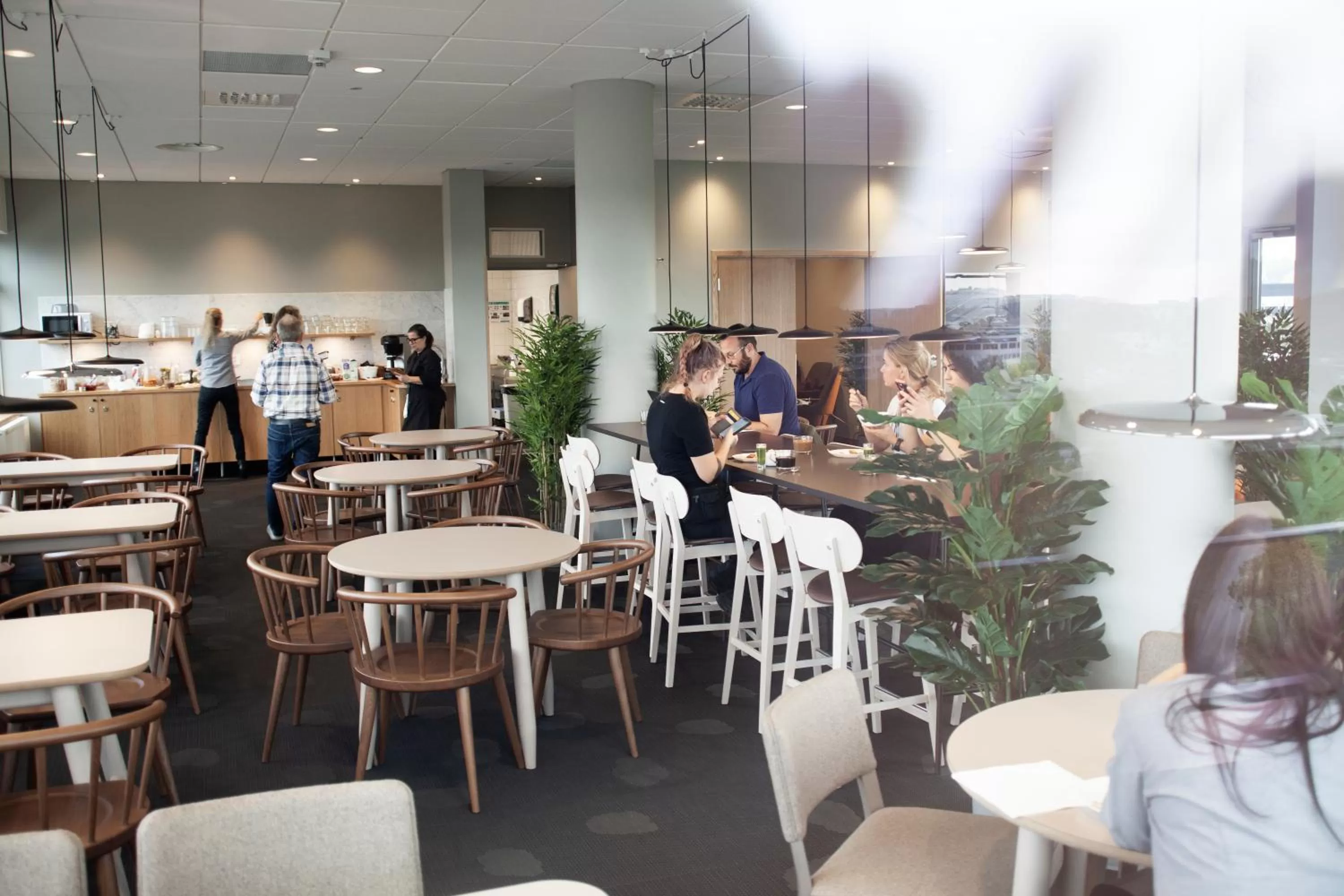 Restaurant/places to eat in First Hotel The Studio