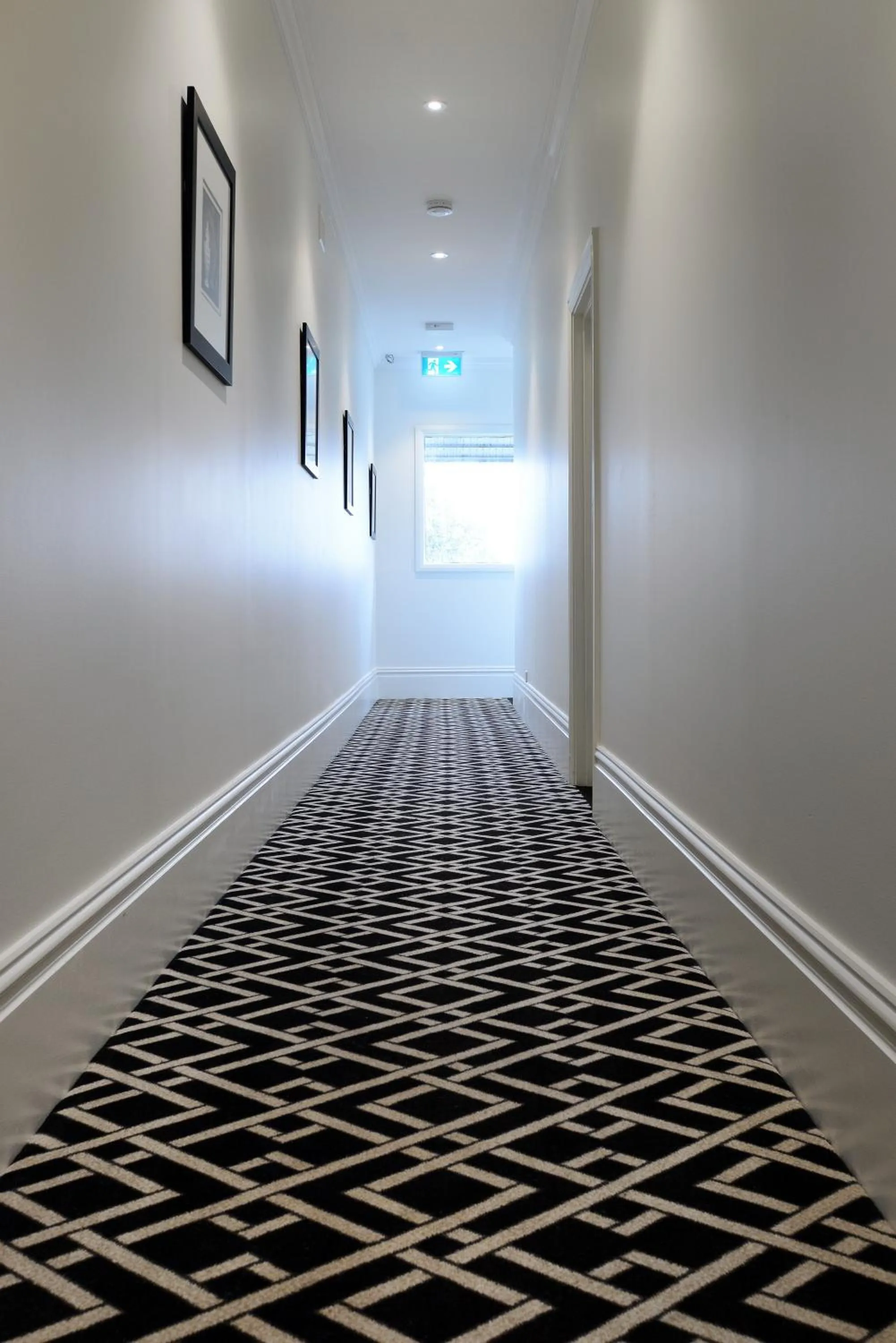 Property building in High Cross Randwick by Sydney Lodges