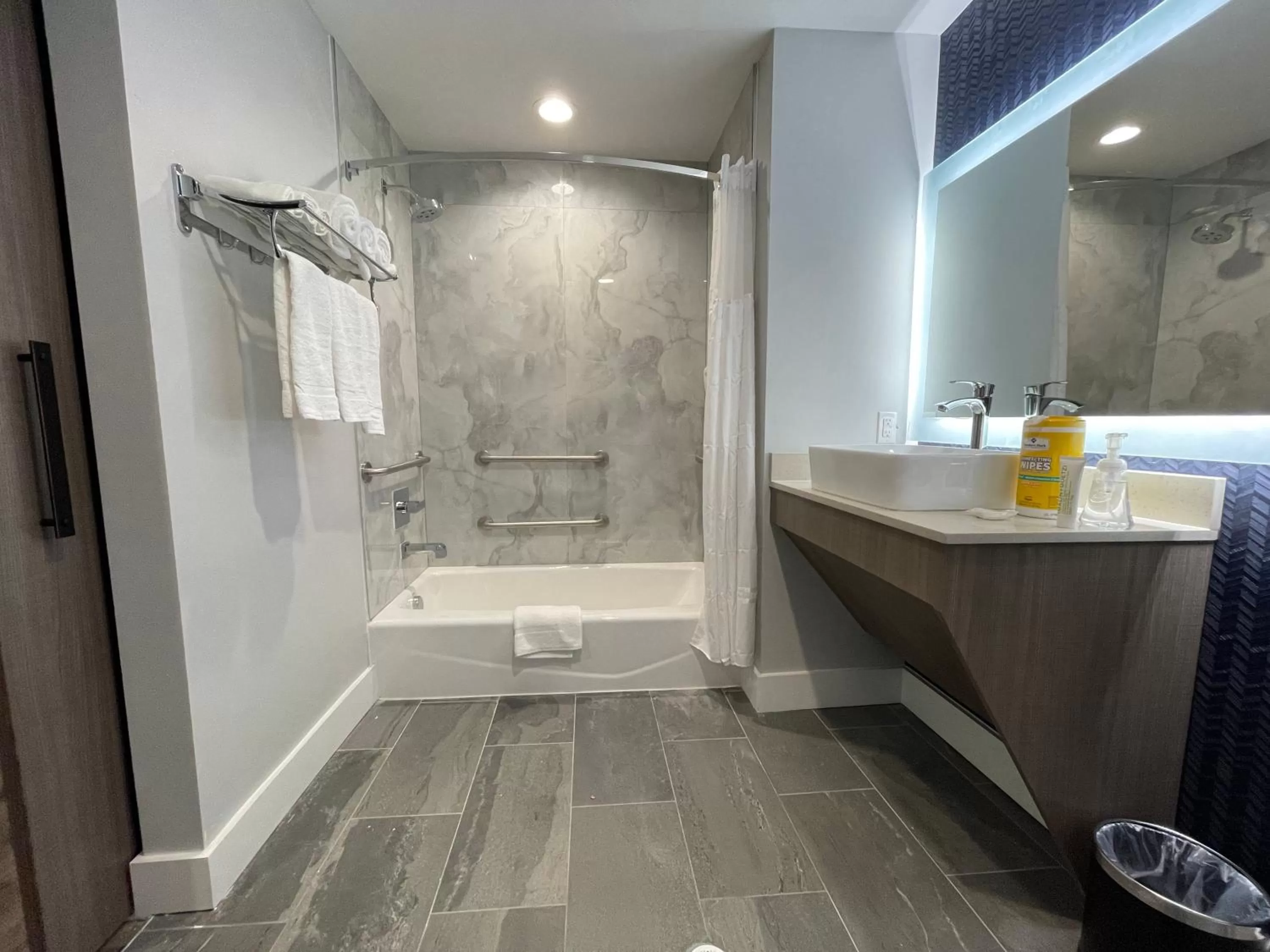 Bathroom in Palace Inn Blue Houston East Beltway 8