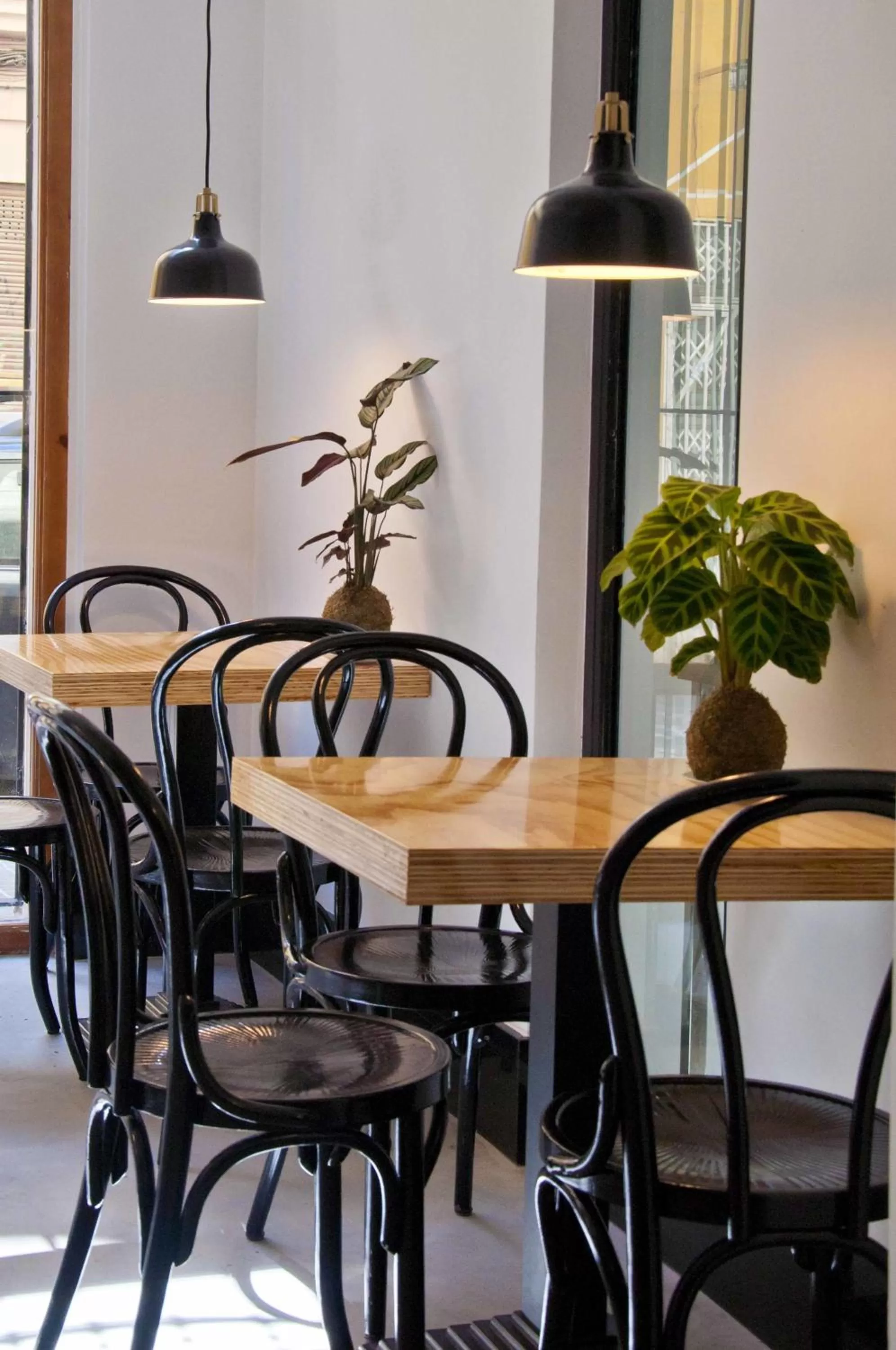 Restaurant/places to eat in Zalamera BnB