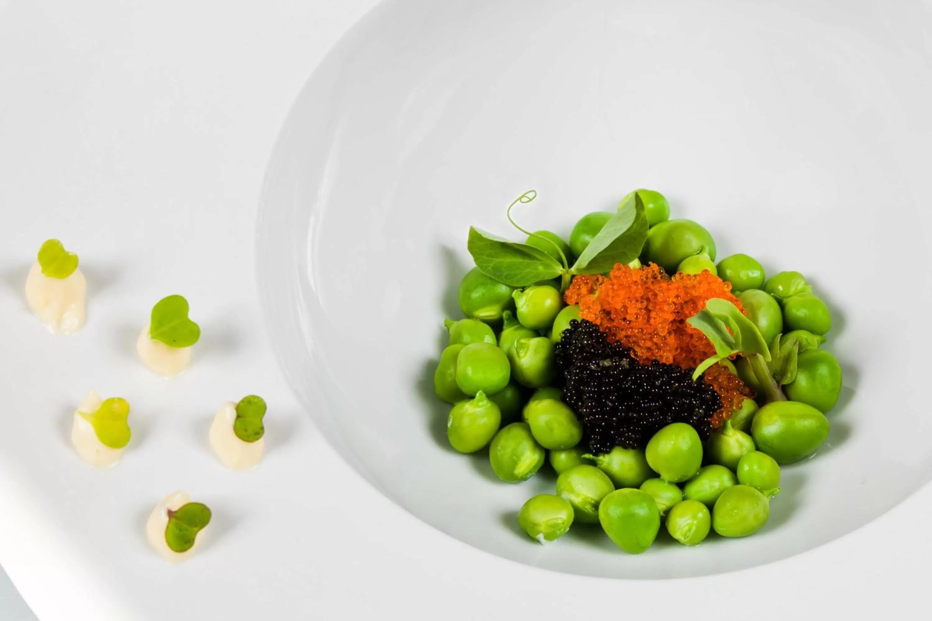 Food in DON FADRIQUE