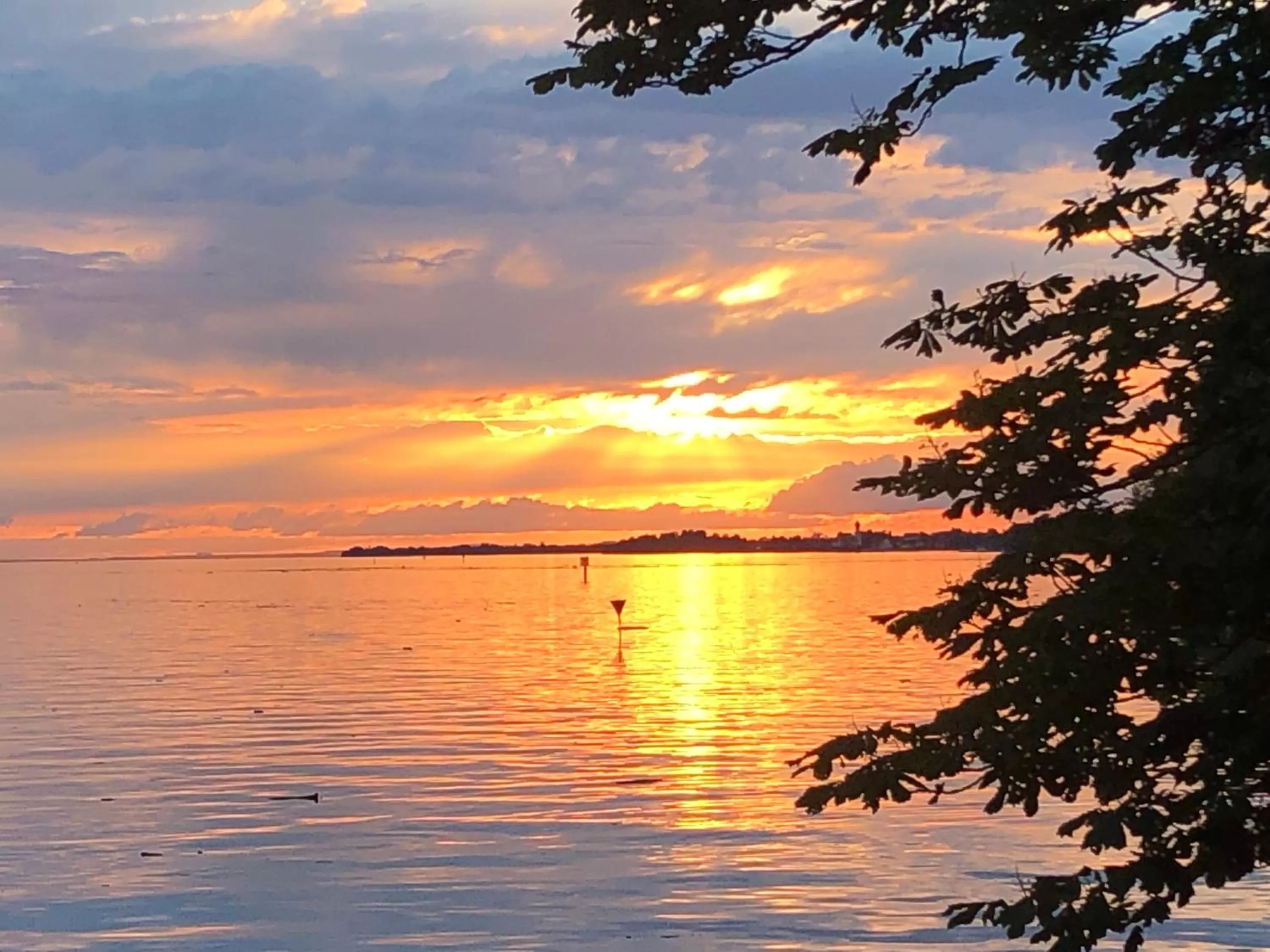 Natural landscape in Hotel Alte Schule