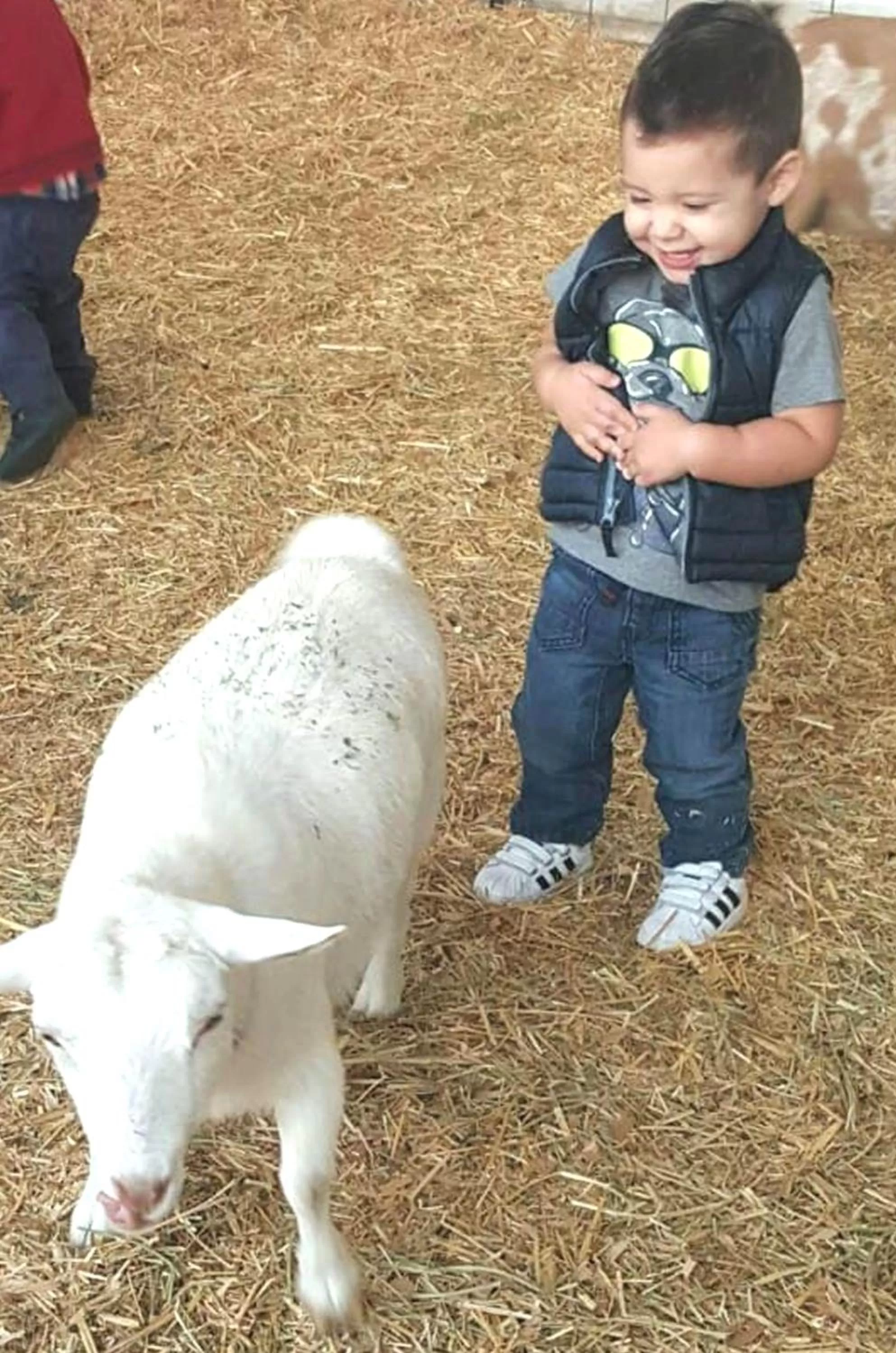 Activities in Puerto Nuevo Baja Hotel & Villas