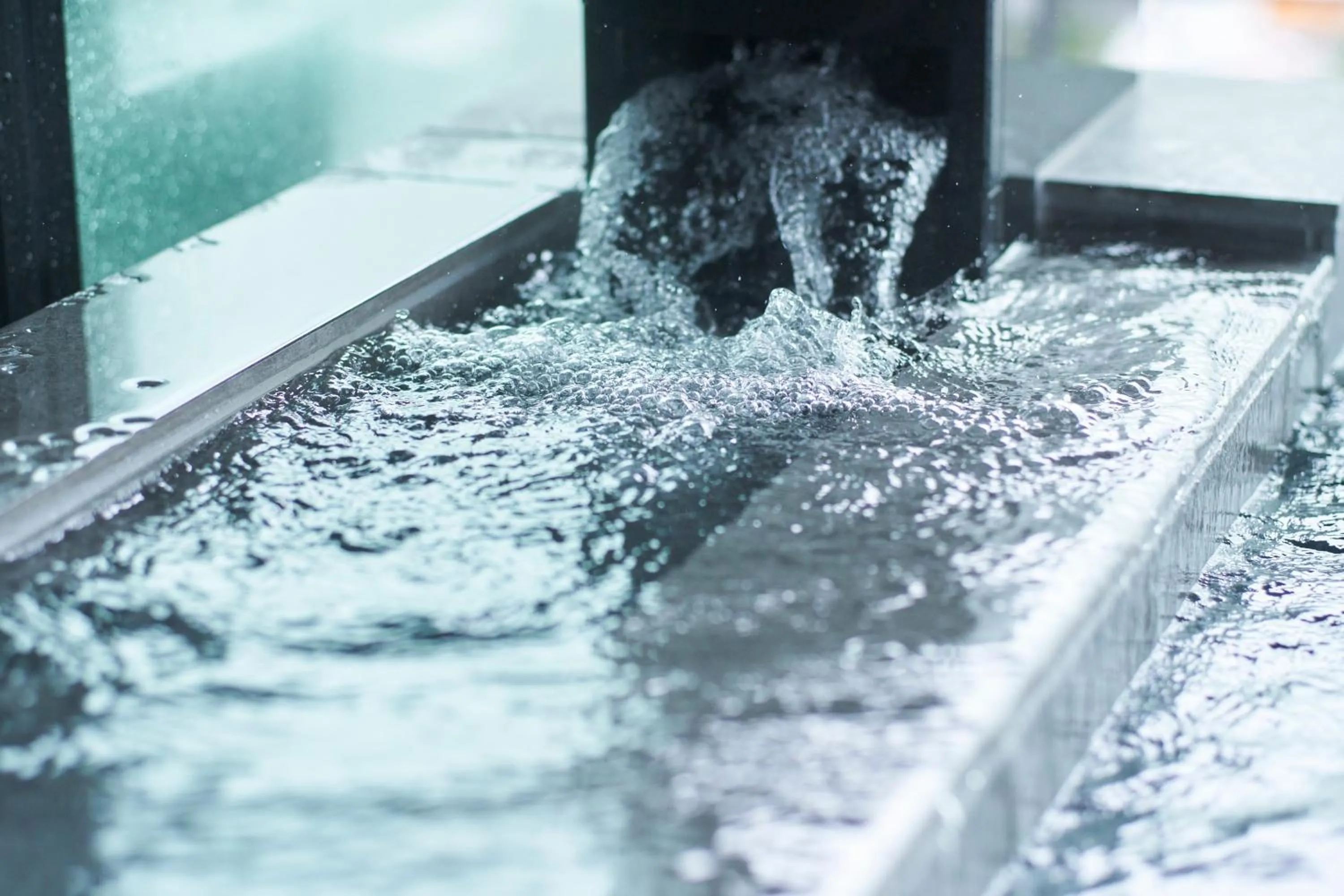 Public Bath in Fujisan Mishima Tokyu Hotel