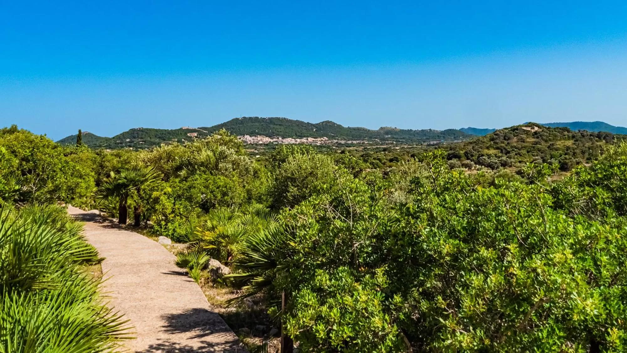 Natural landscape in Cases de Son Barbassa Hotel & Restaurant