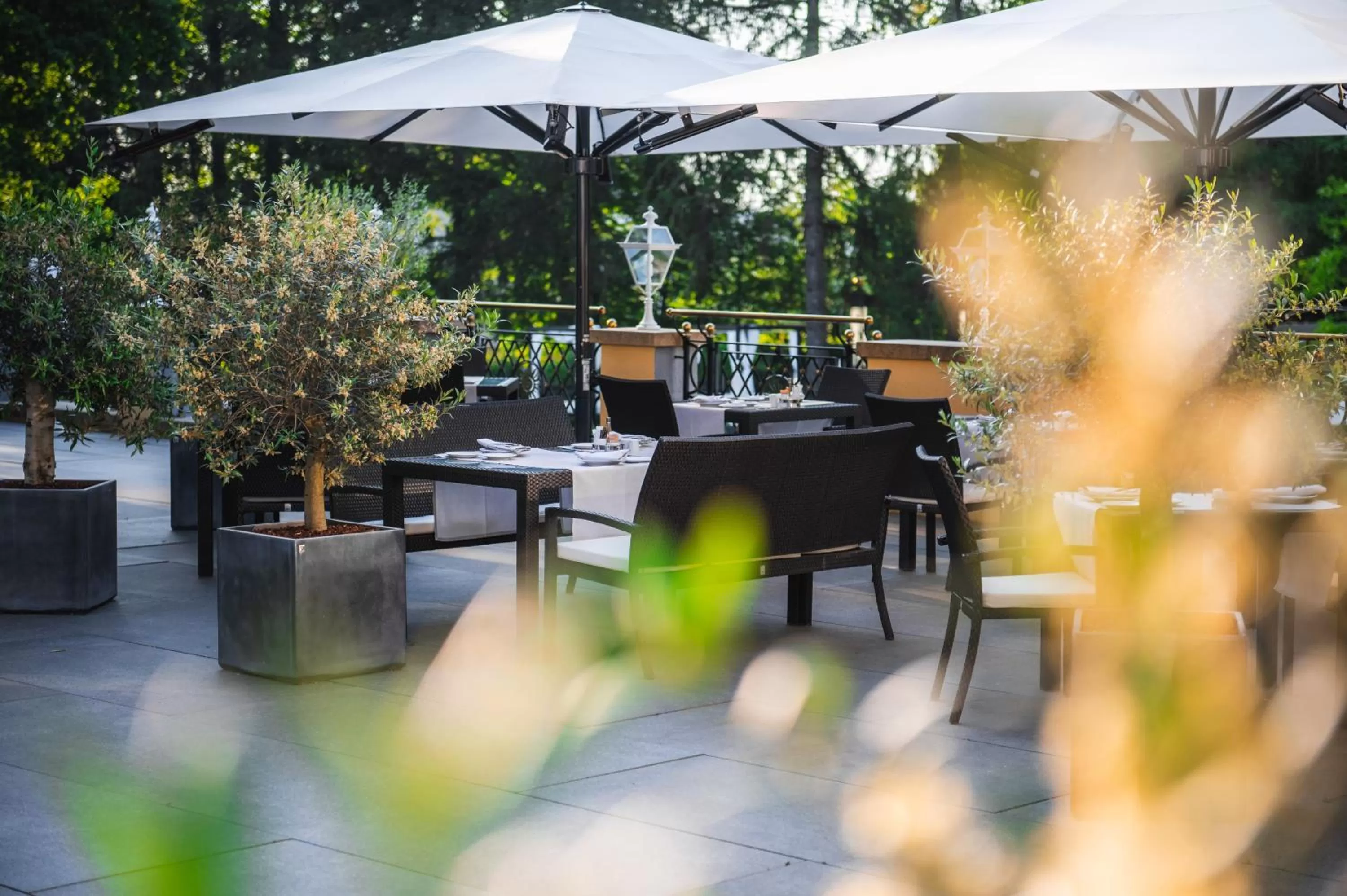 Restaurant/places to eat in Der Sonnenhof