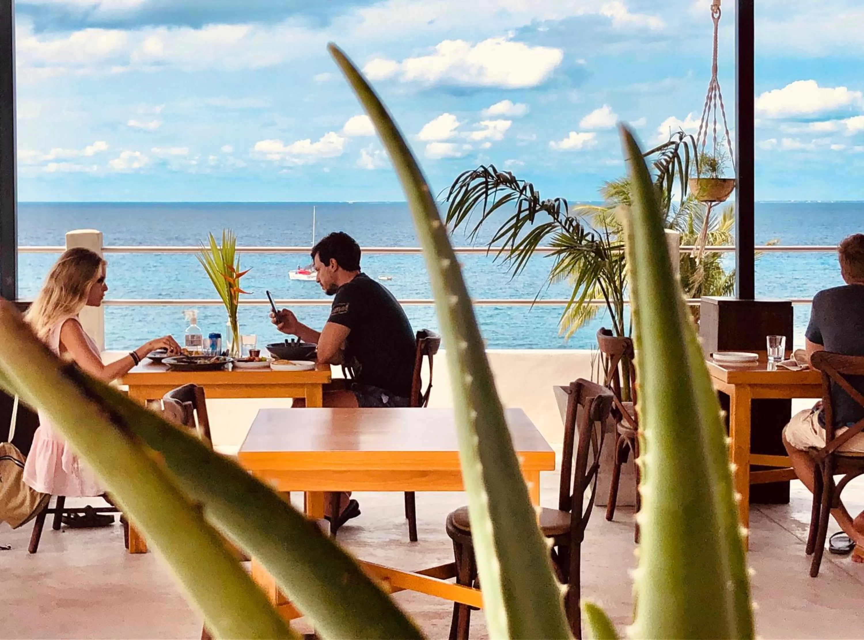 Restaurant/places to eat in Albatros by Bedsfriends