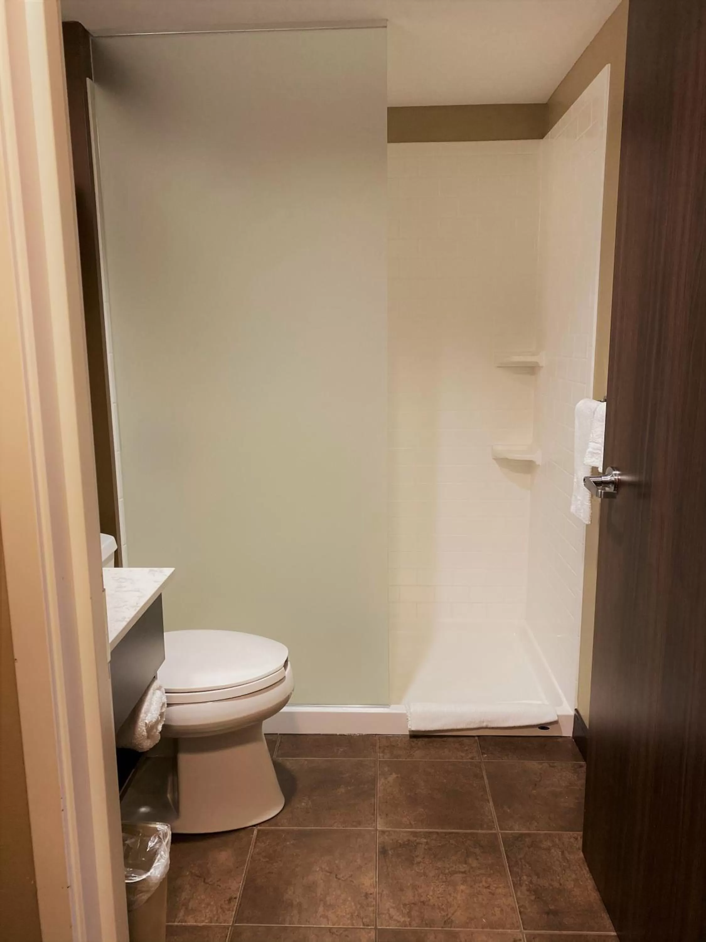 Bathroom in Microtel Inn & Suites by Wyndham - Timmins