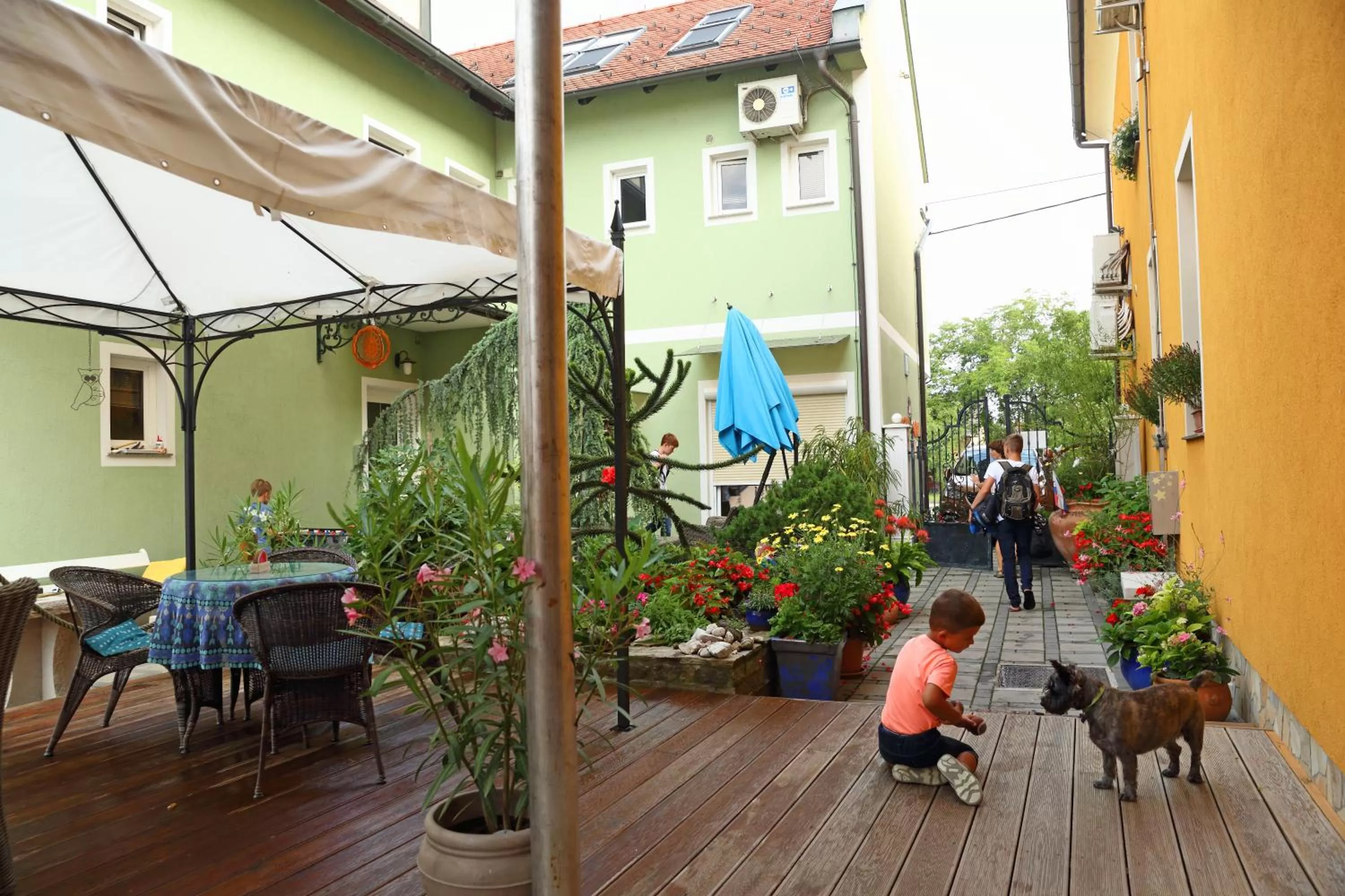 Pets in Hostel Sonce