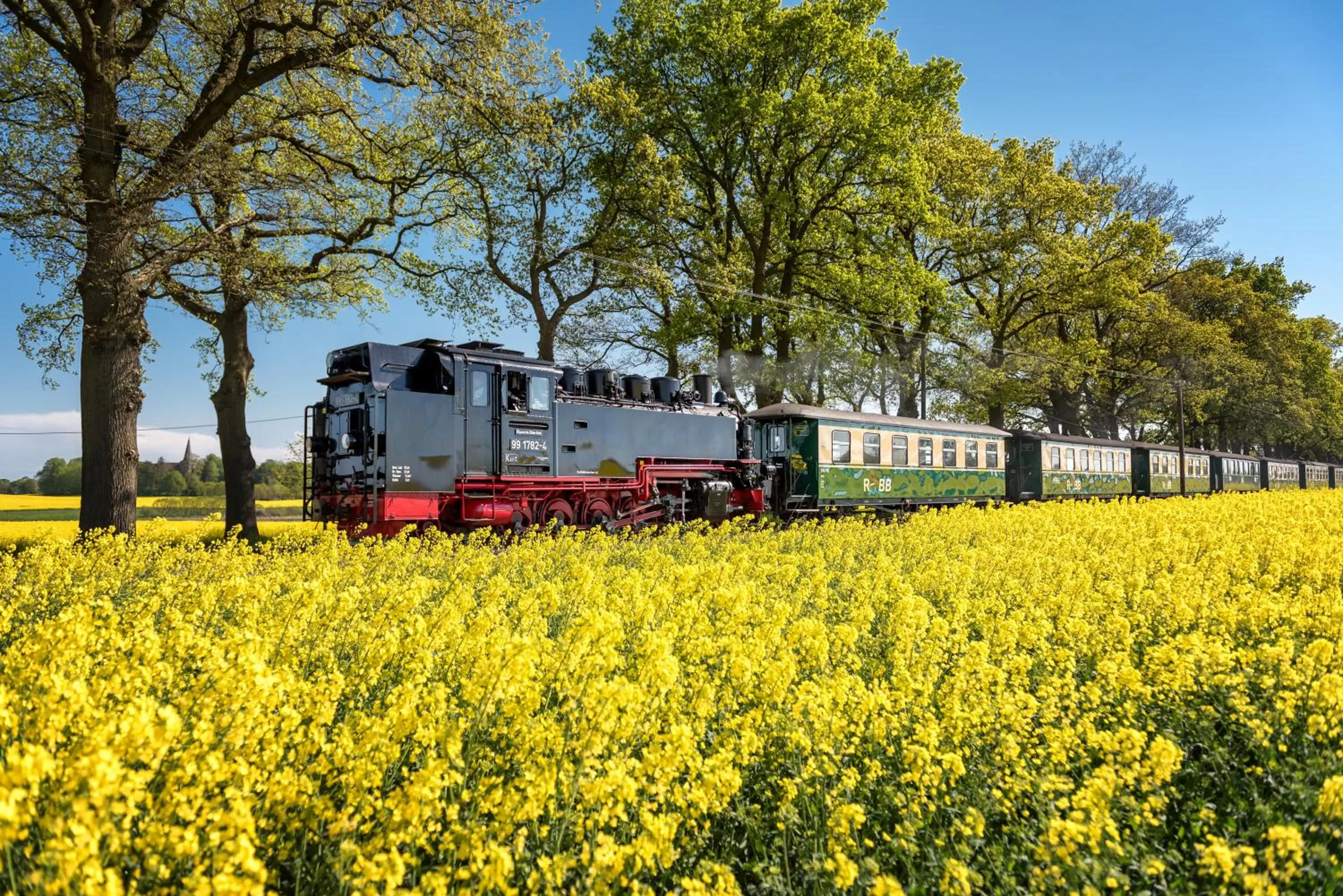 Nearby landmark in Hotel Mukran