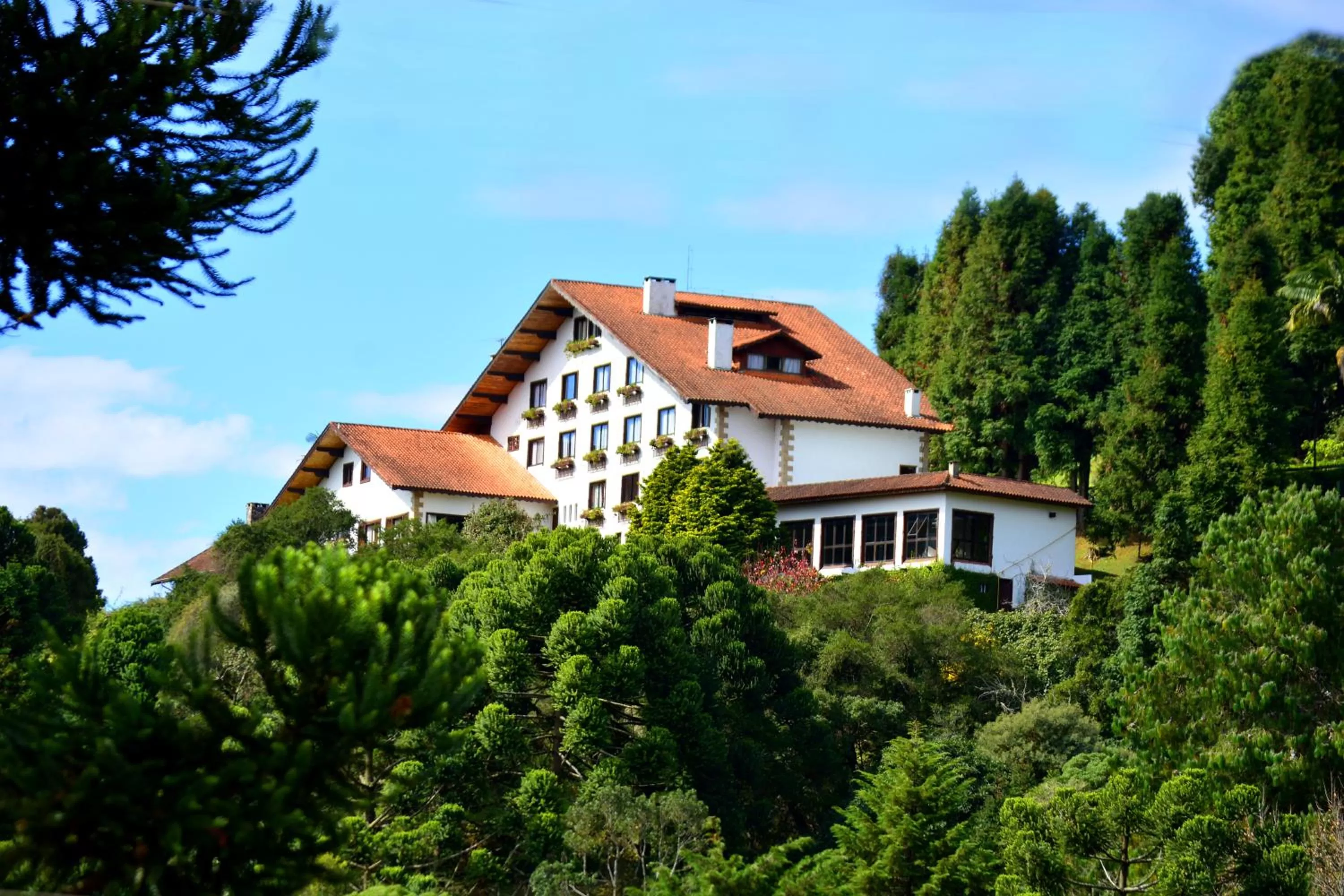 Property building in Hotel Meissner Hof