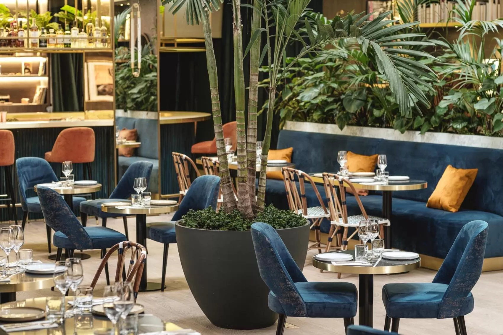 Restaurant/places to eat in PLEY Hotel