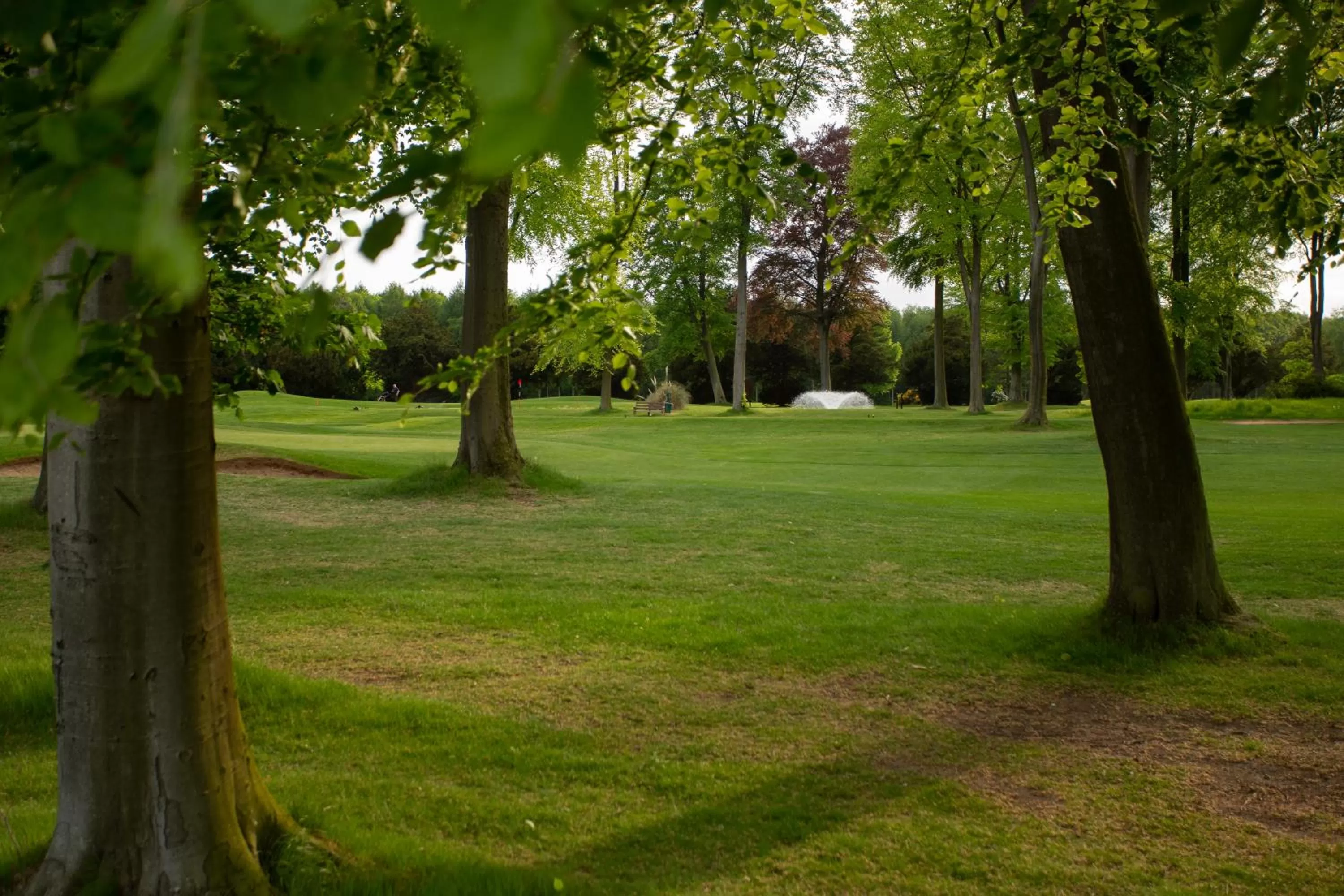 Golfcourse in Forest Pines Hotel, Spa & Golf Resort