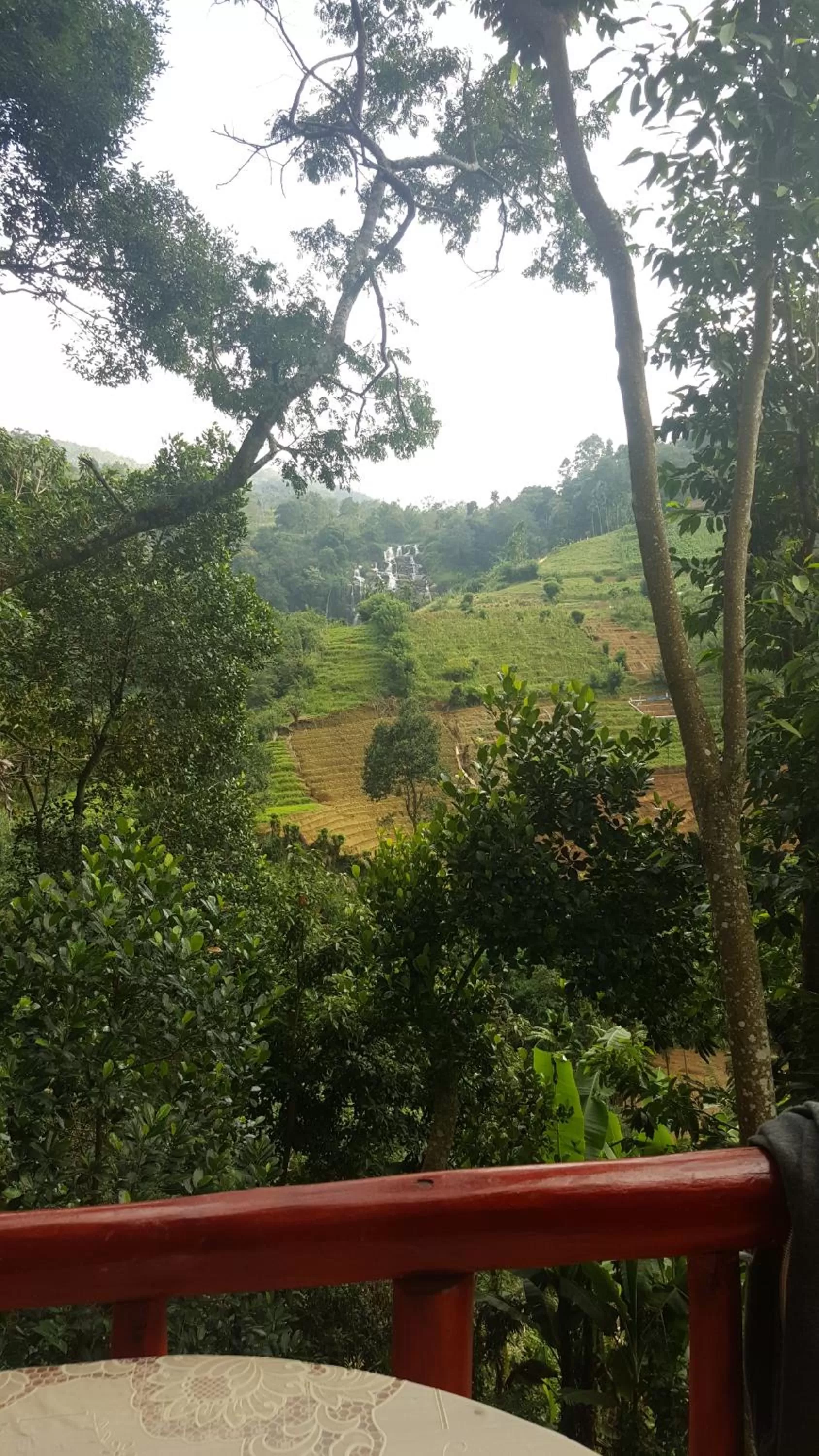 View (from property/room), Mountain View in Silent Nest