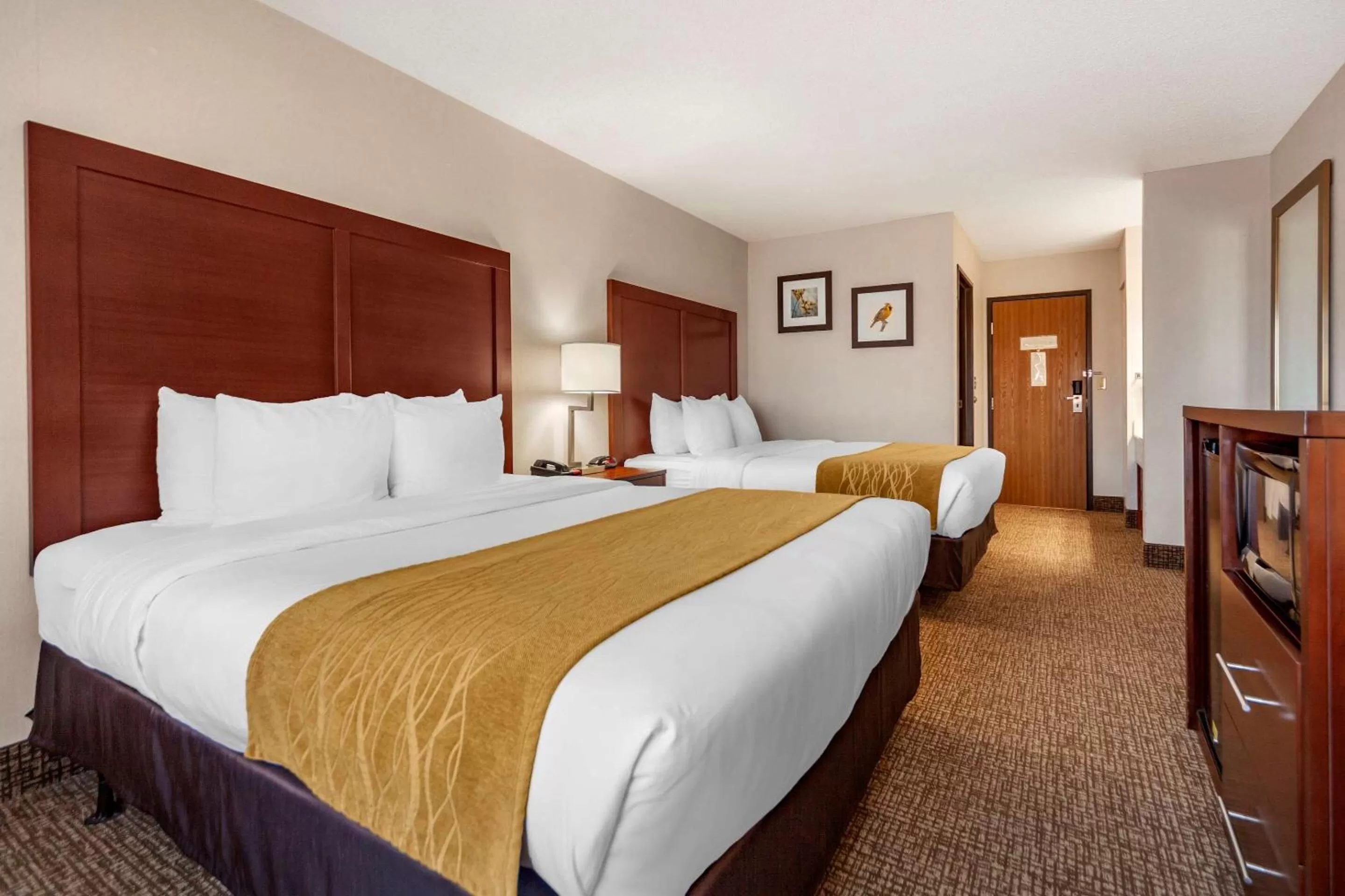 Photo of the whole room, Bed in Comfort Inn Grand Island North