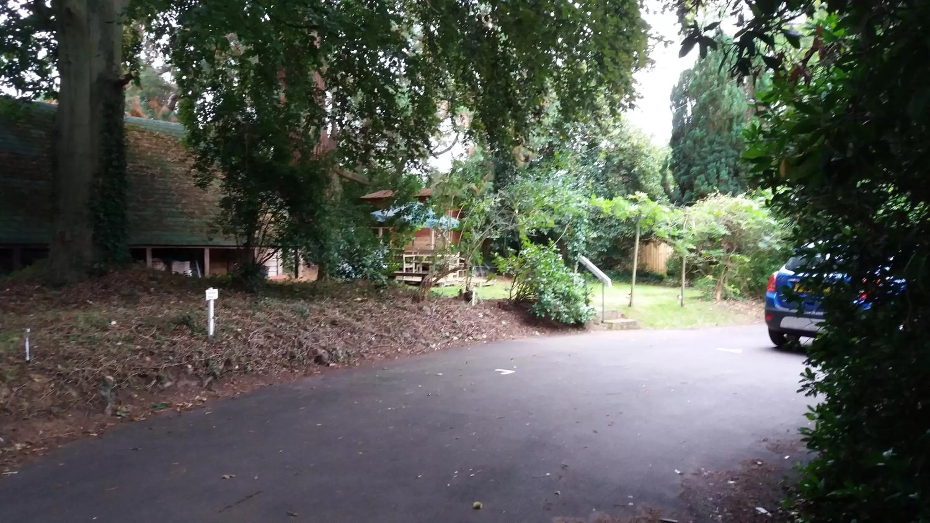 Other in Otters Green