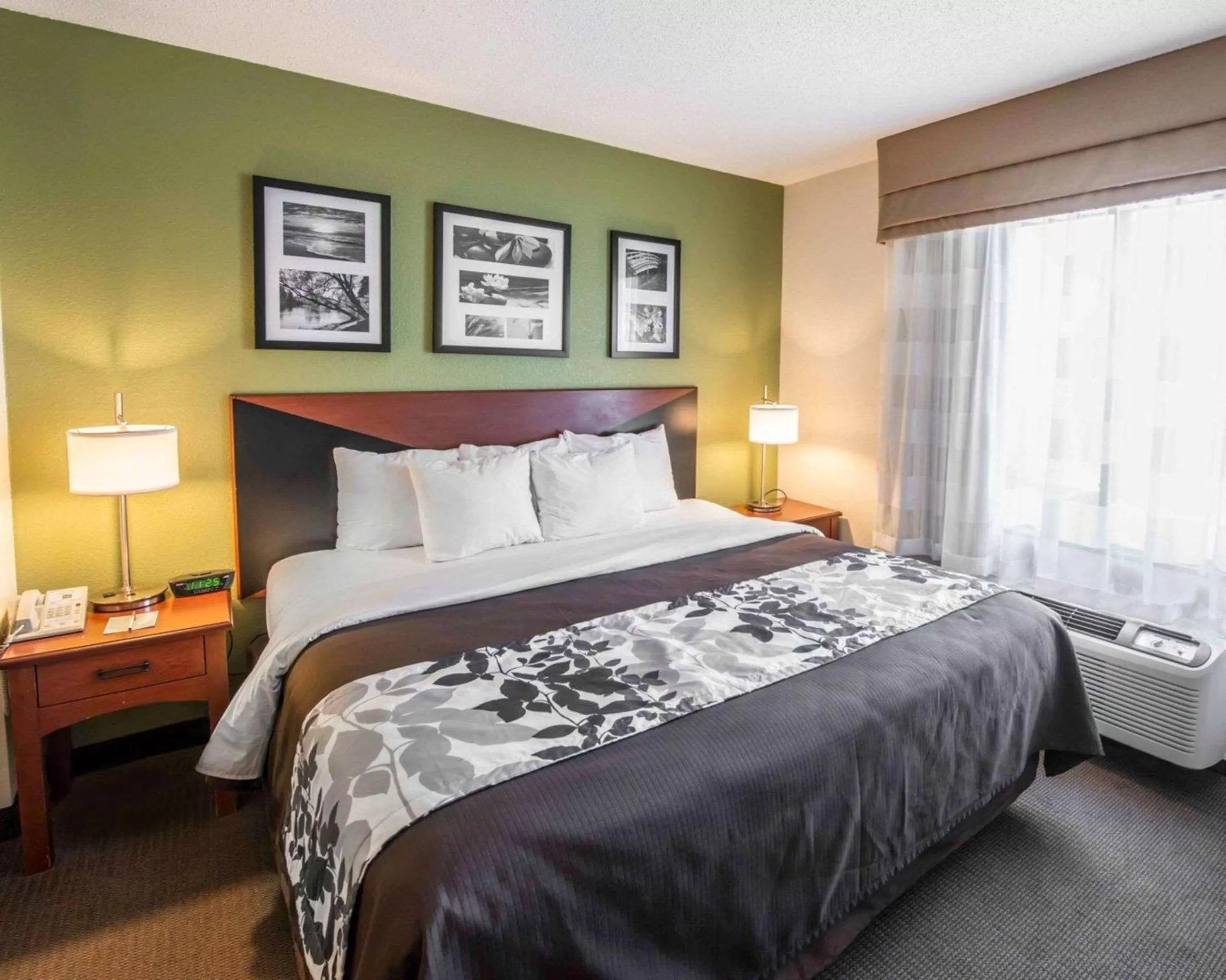 King Bed Suite with Sofa Bed - Non-Smoking in Sleep Inn & Suites Princeton I-77