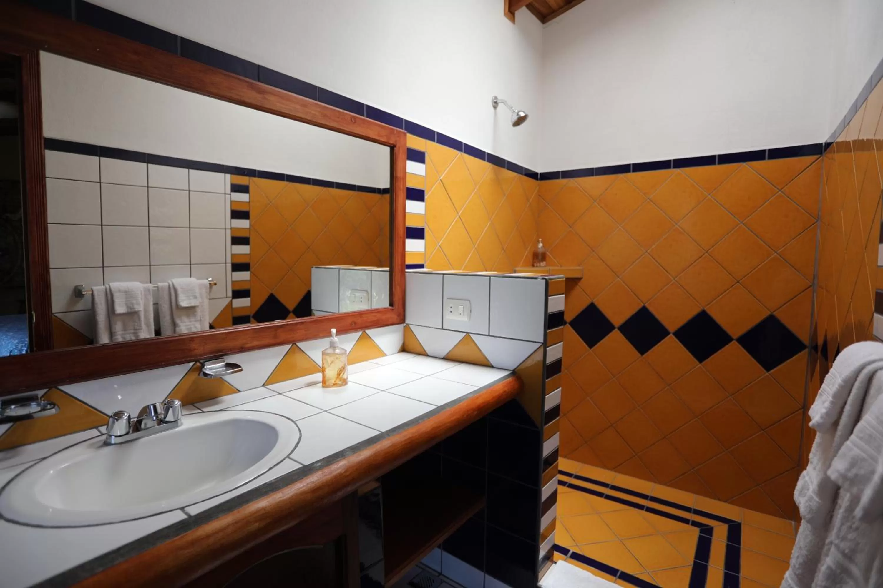 Shower in Tierra Magica B&B and Art Studio