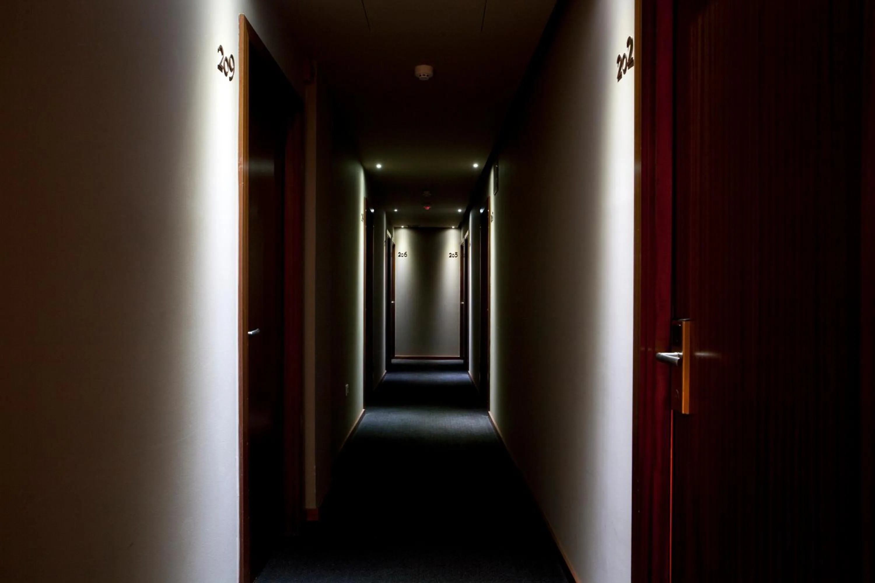 Superior Twin Room in Stay Hotel Porto Centro Antas