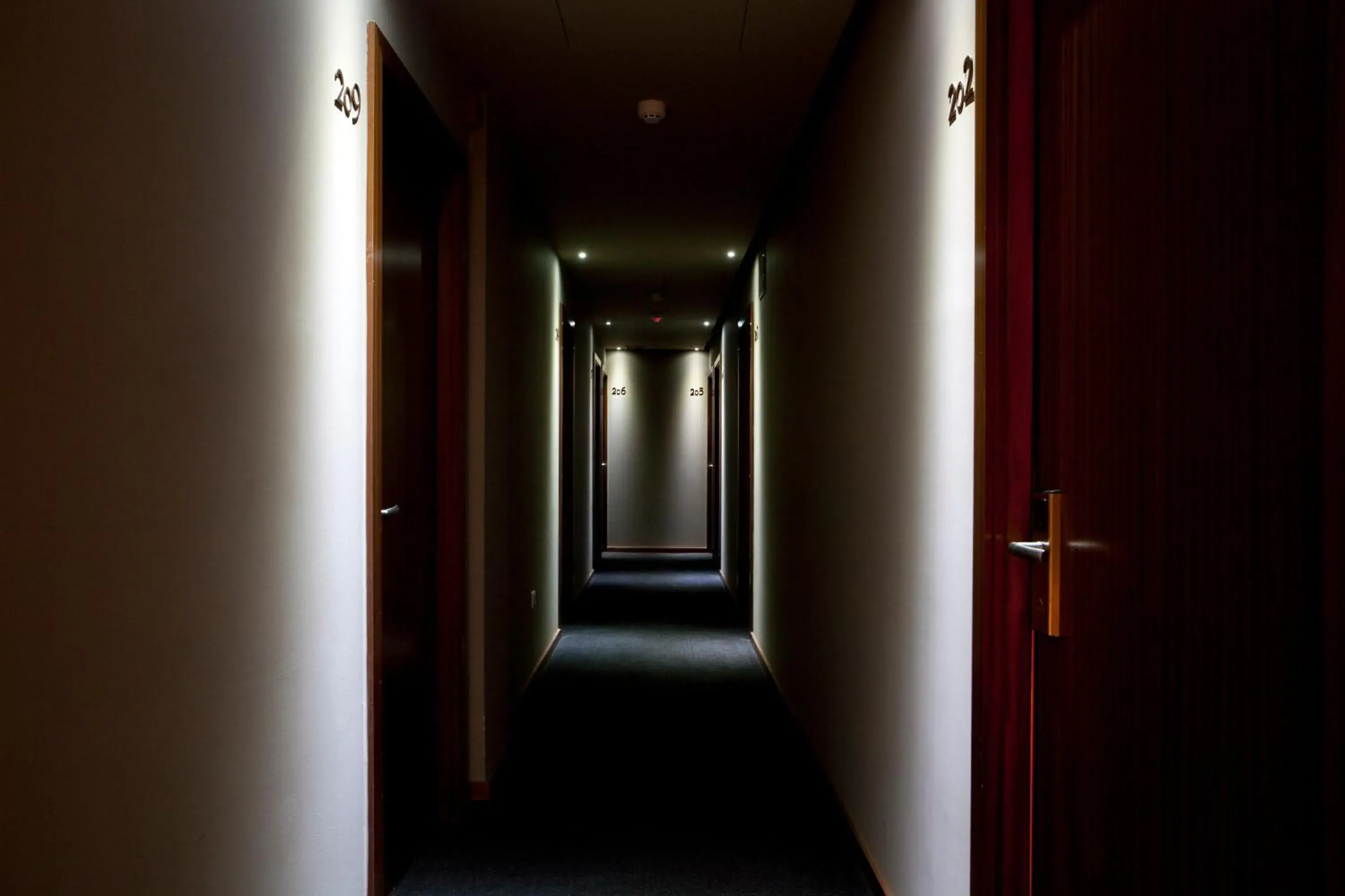 Superior Twin Room in Stay Hotel Porto Centro Antas Superior Twin Room in Stay Hotel Porto Centro Antas