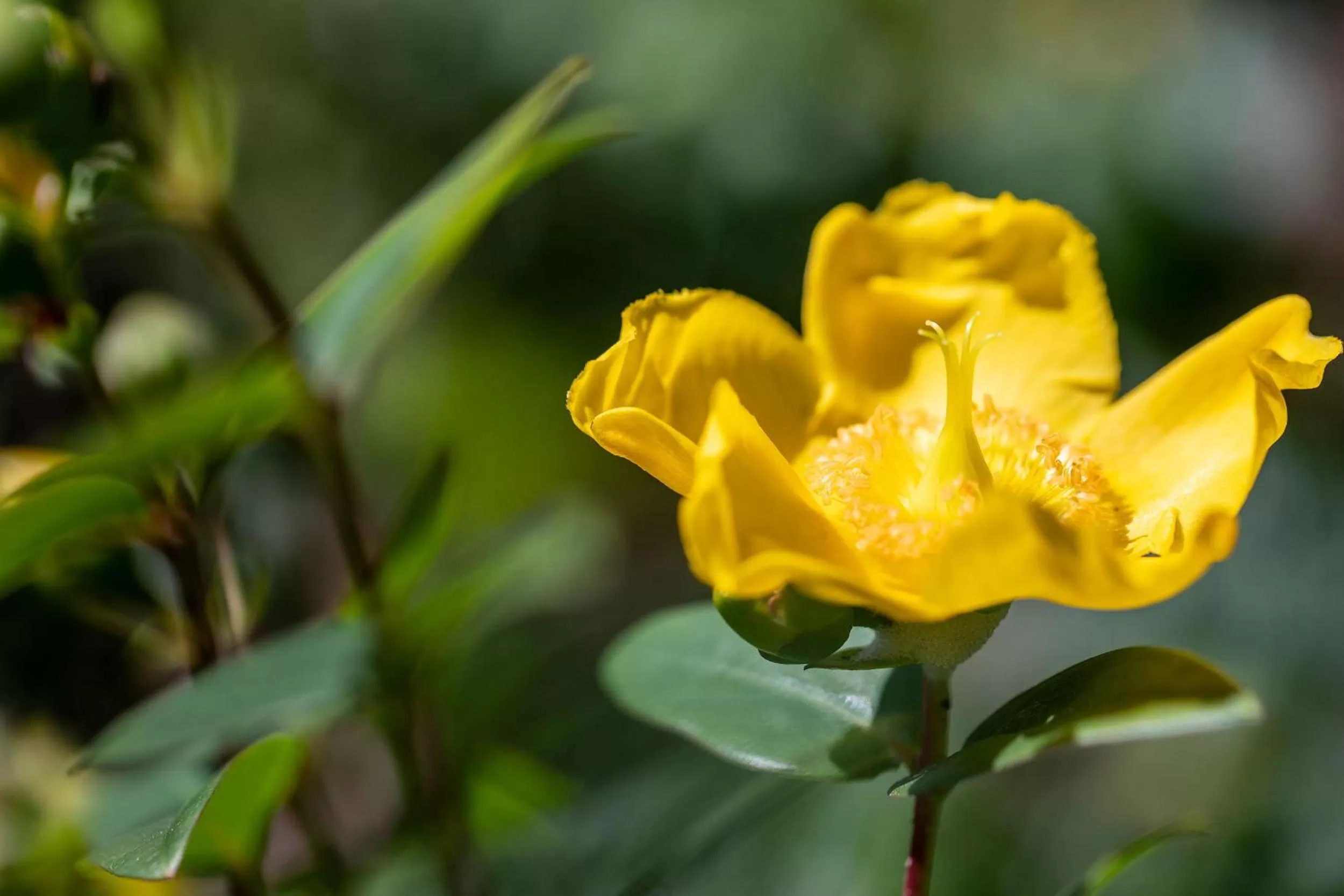 Property building in West Point House