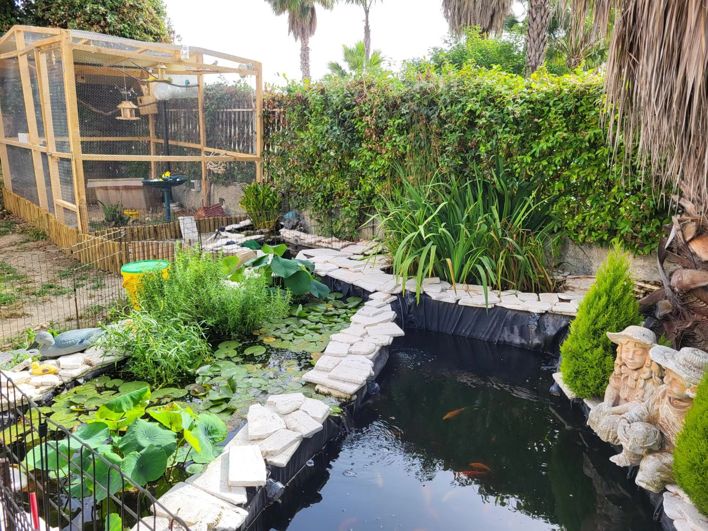 Animals in B&B Magna Grecia