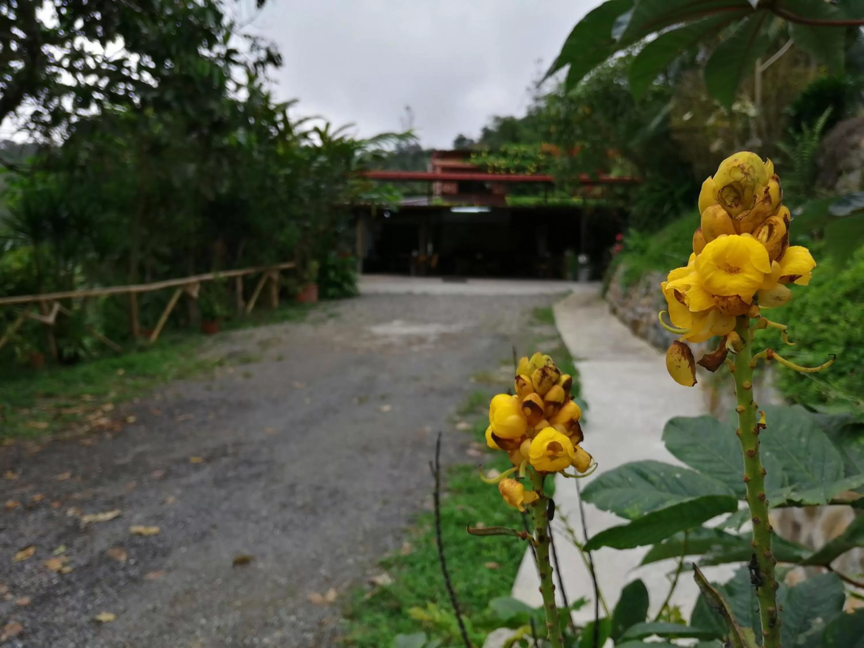 Garden in Hosteria Florecer
